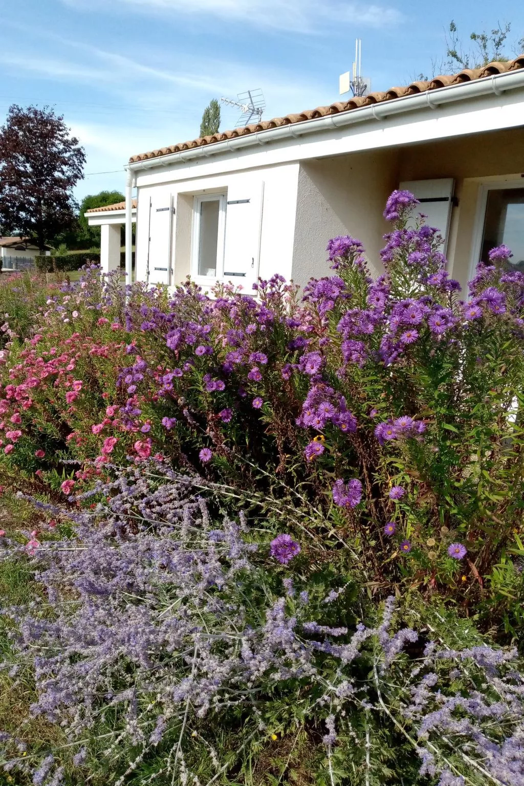 Le Domaine du Lambon-Outside