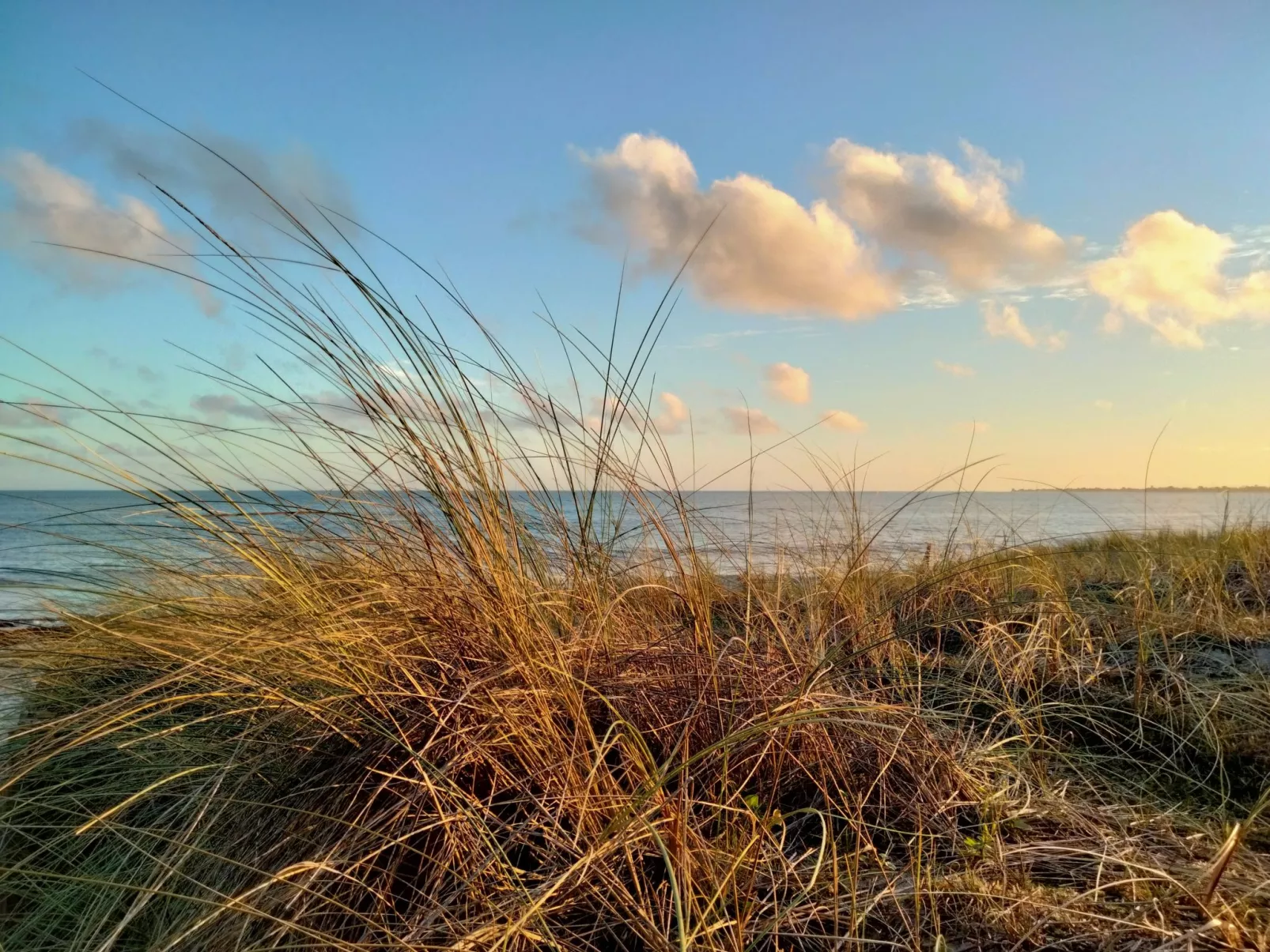 Entre terre et mer-Area