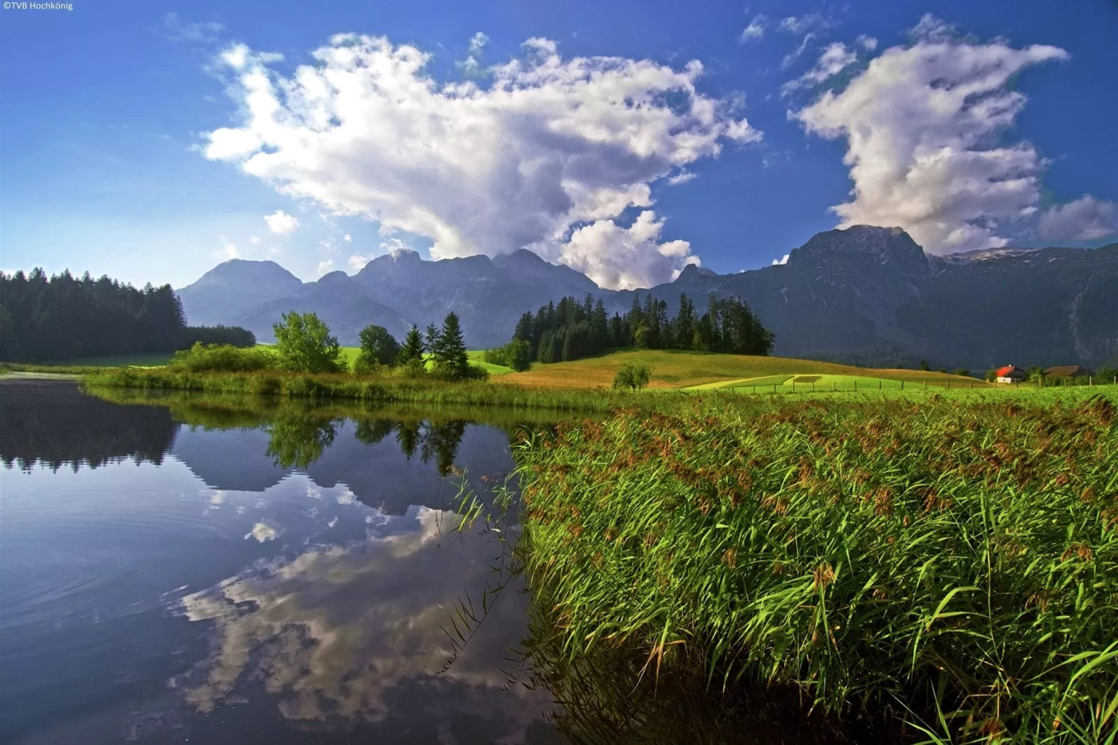 Chalet Lindelodge-Areas summer 5km