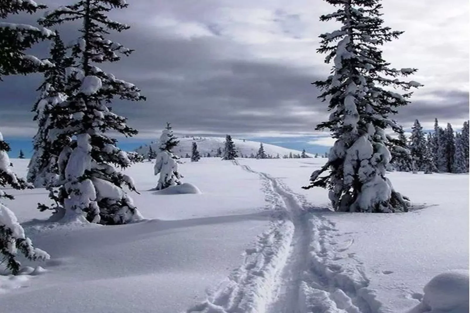 Alpendorf Dachstein West 6-Area winter 1km