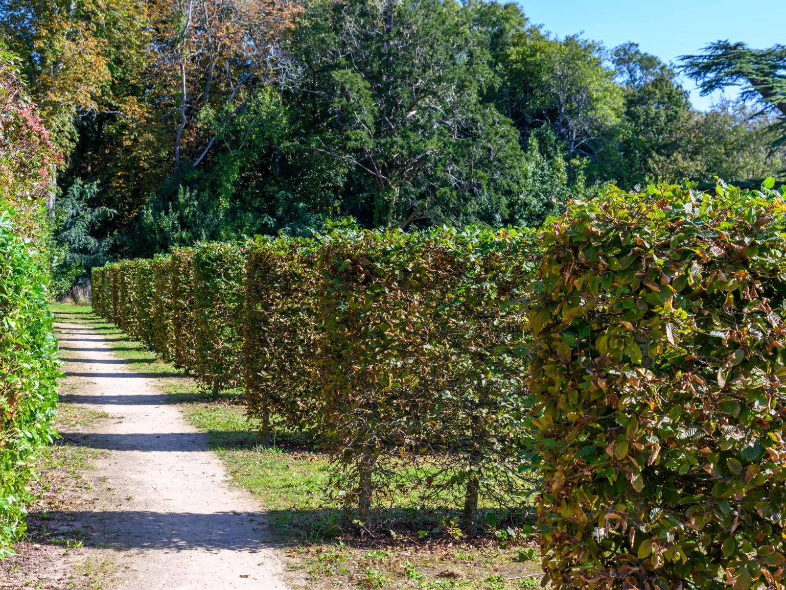 Le Château de Kergonano-Outside