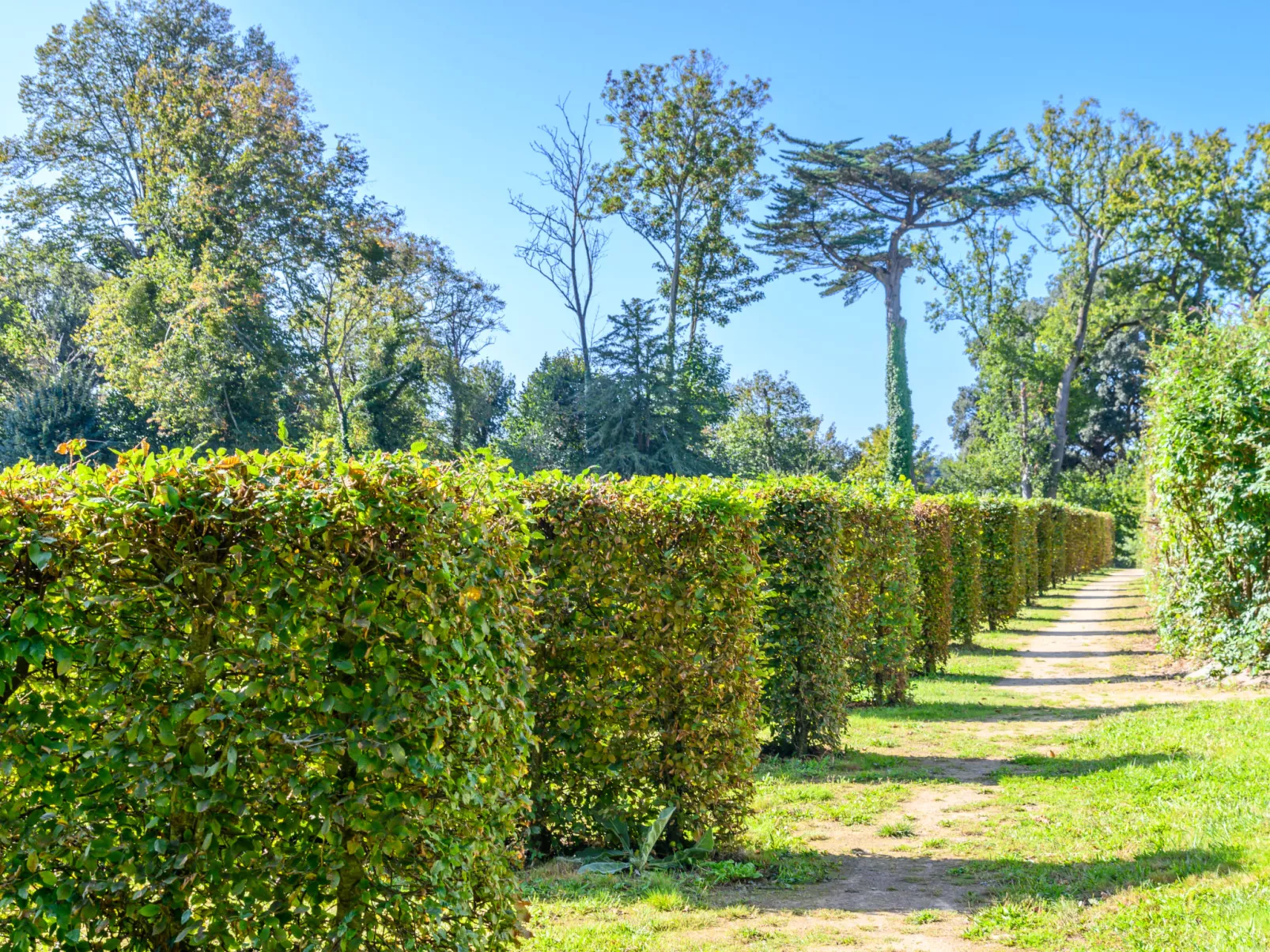 Château De Kergonano, dans l'Orangerie-Dehors