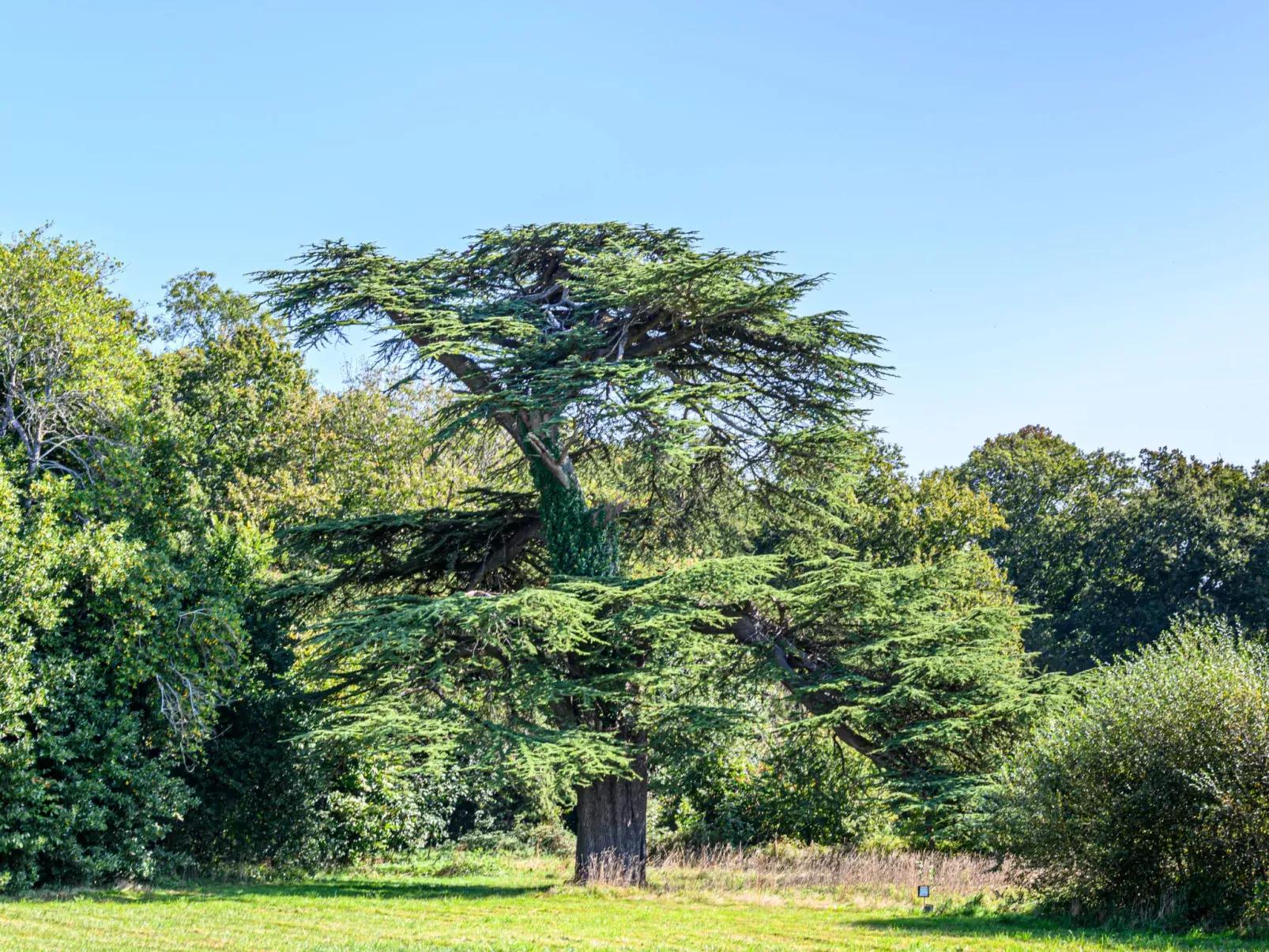 Château De Kergonano, dans l'Orangerie-Dehors