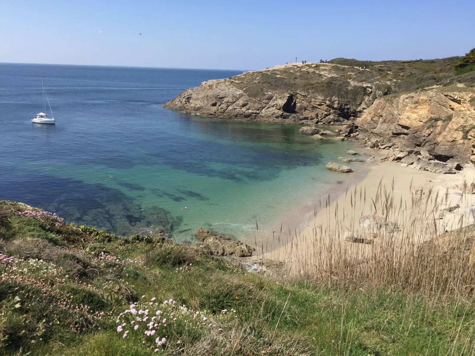 Les Agapanthes-Area