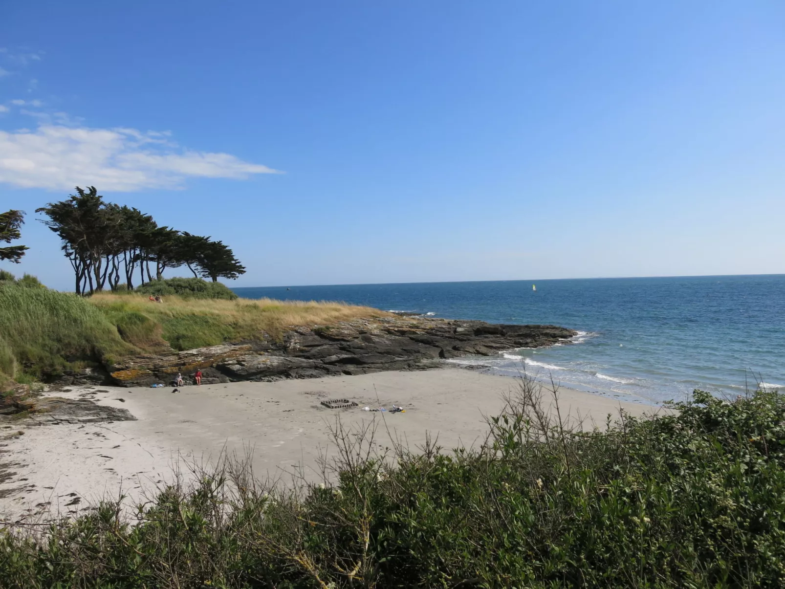 Les Agapanthes-Area