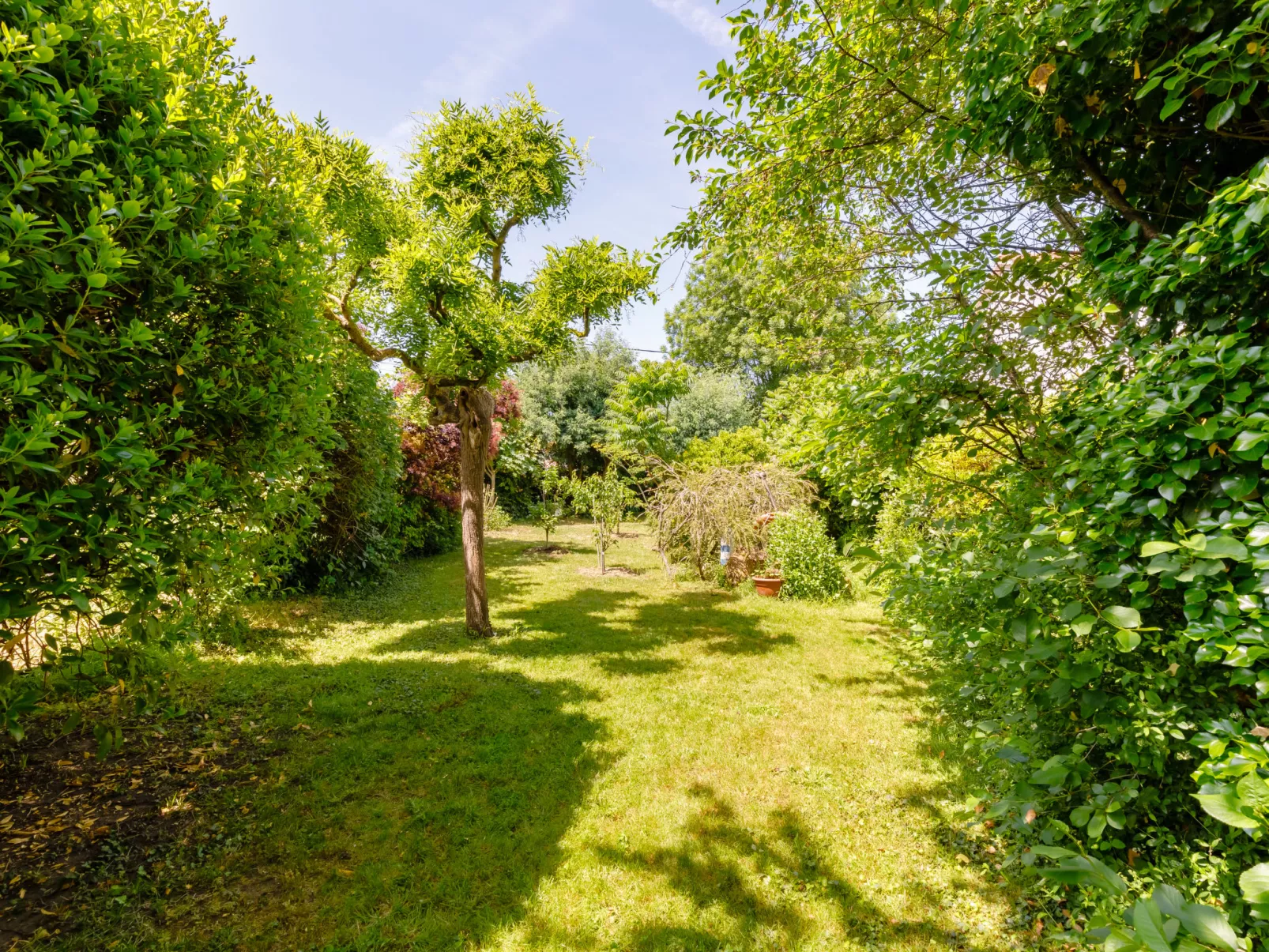 Villa Les Cygnes-Outside