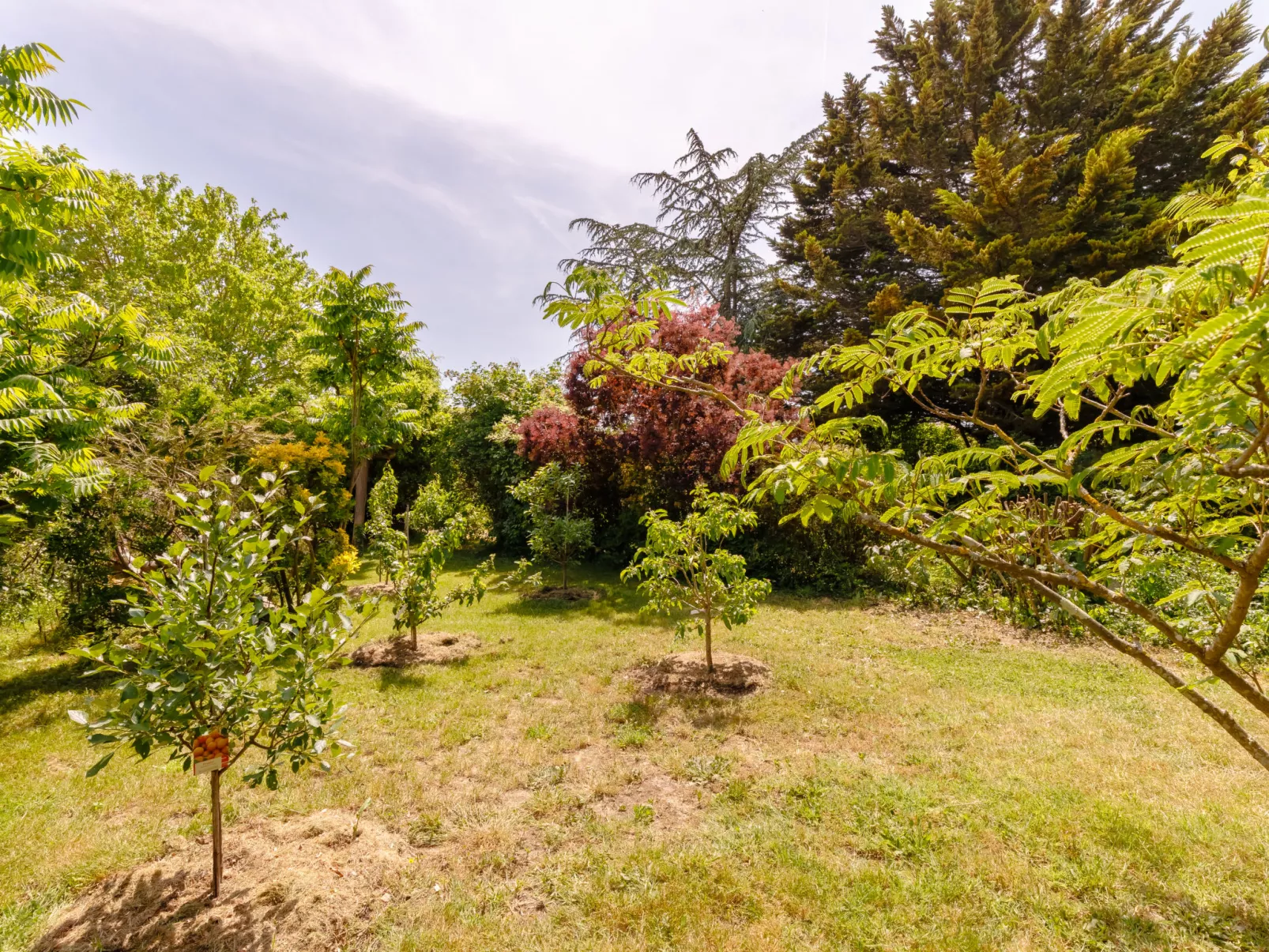 Villa Les Cygnes-Outside