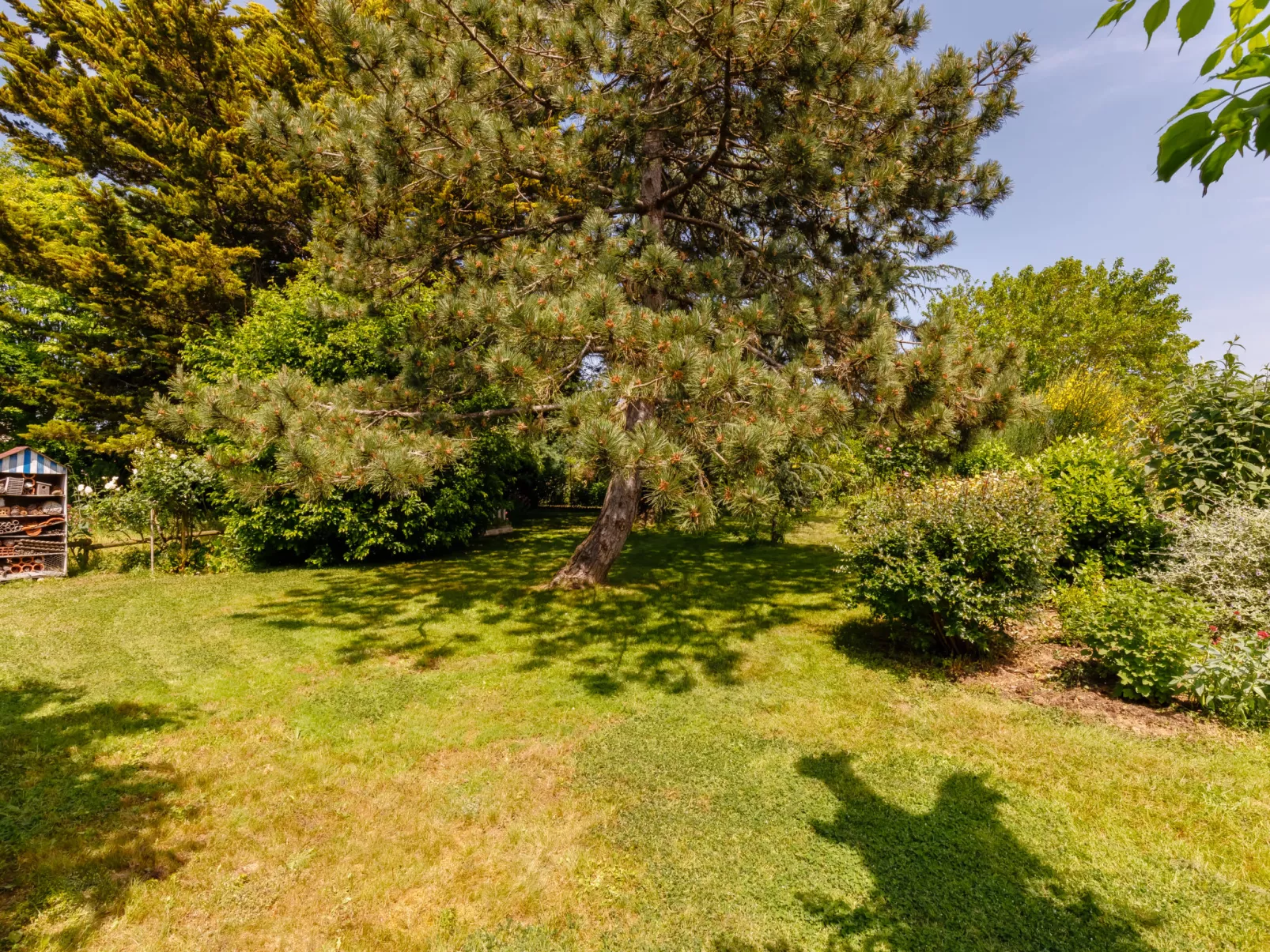 Villa Les Cygnes-Outside