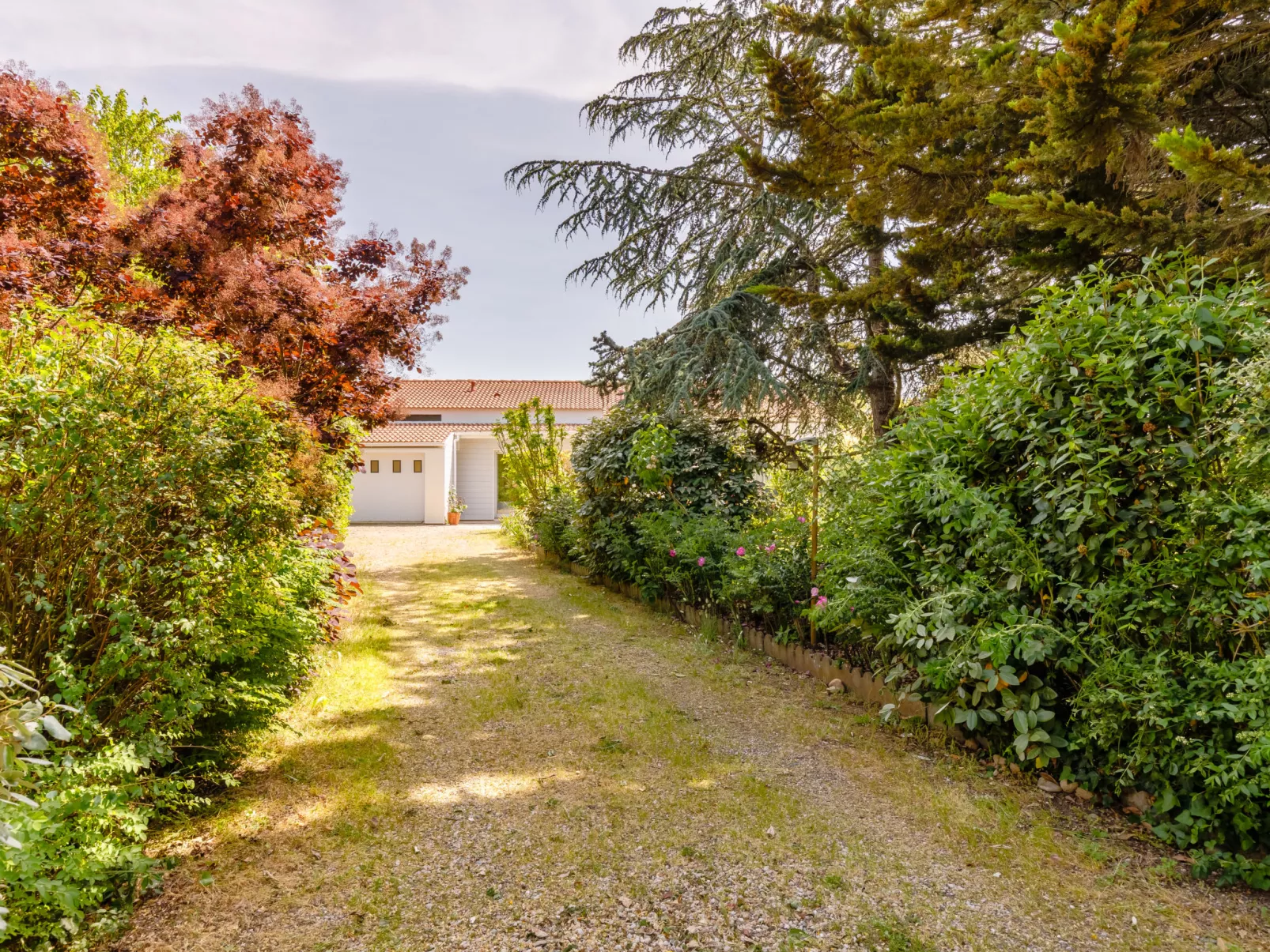 Villa Les Cygnes-Outside