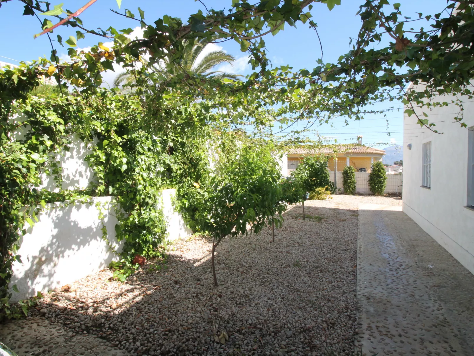 Mexico-Dehors