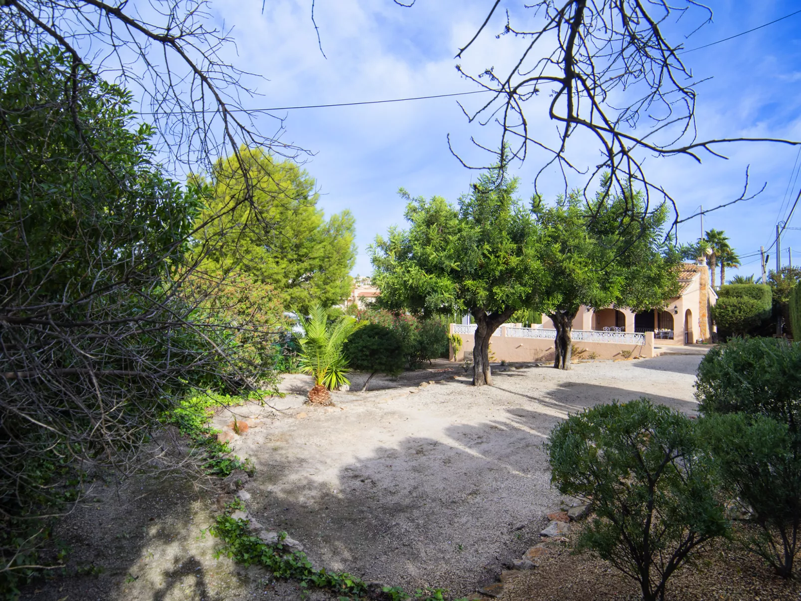 Marisol Park-Outside