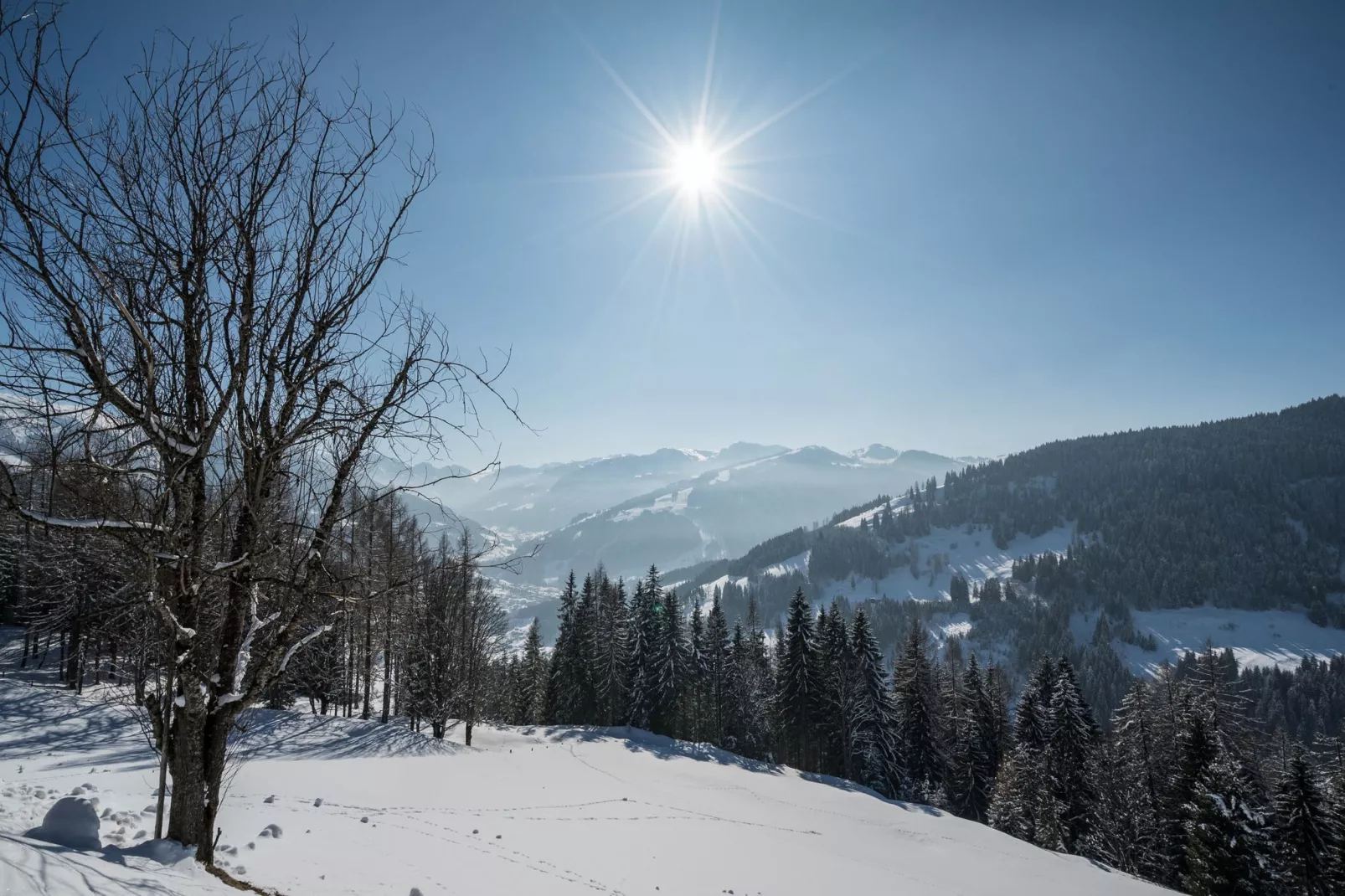 Landhaus Apartment-View winter