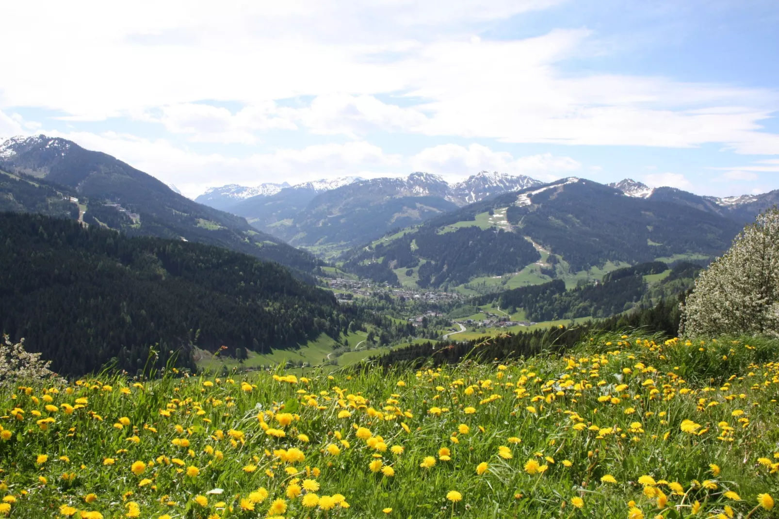 Obermoser-View summer