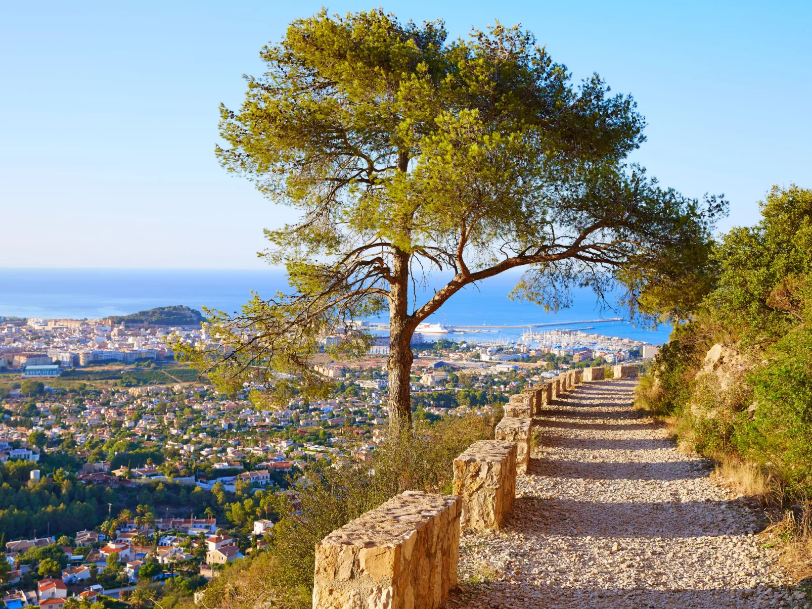 Jardines de Denia VII-Area