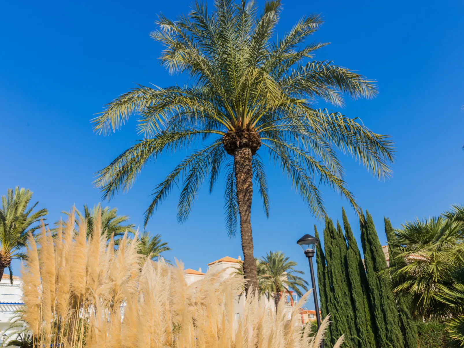 Cala Blanca Denia-Outside