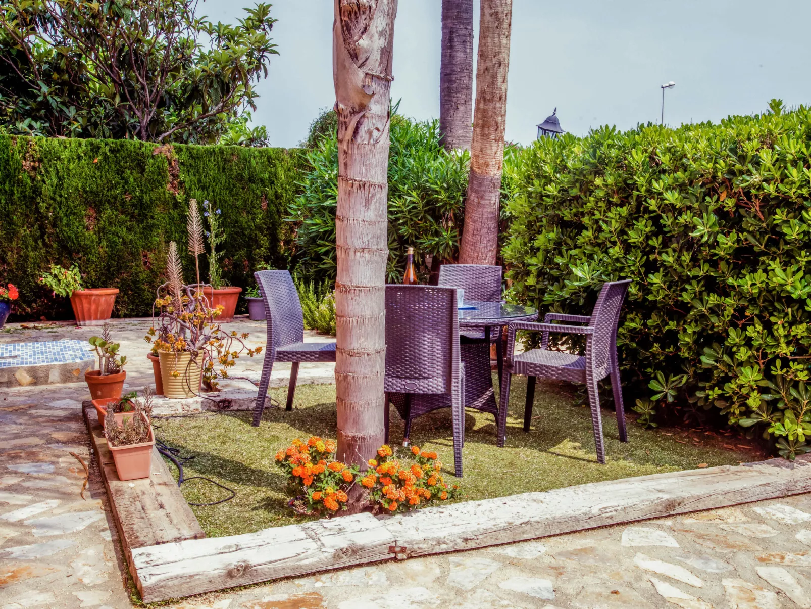 Casa Larauri Oliva Nova-Outside