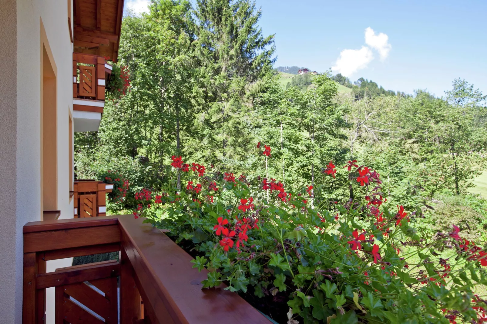 Wellness-Aparthotel-Kleinarl-Terrassenbalkon
