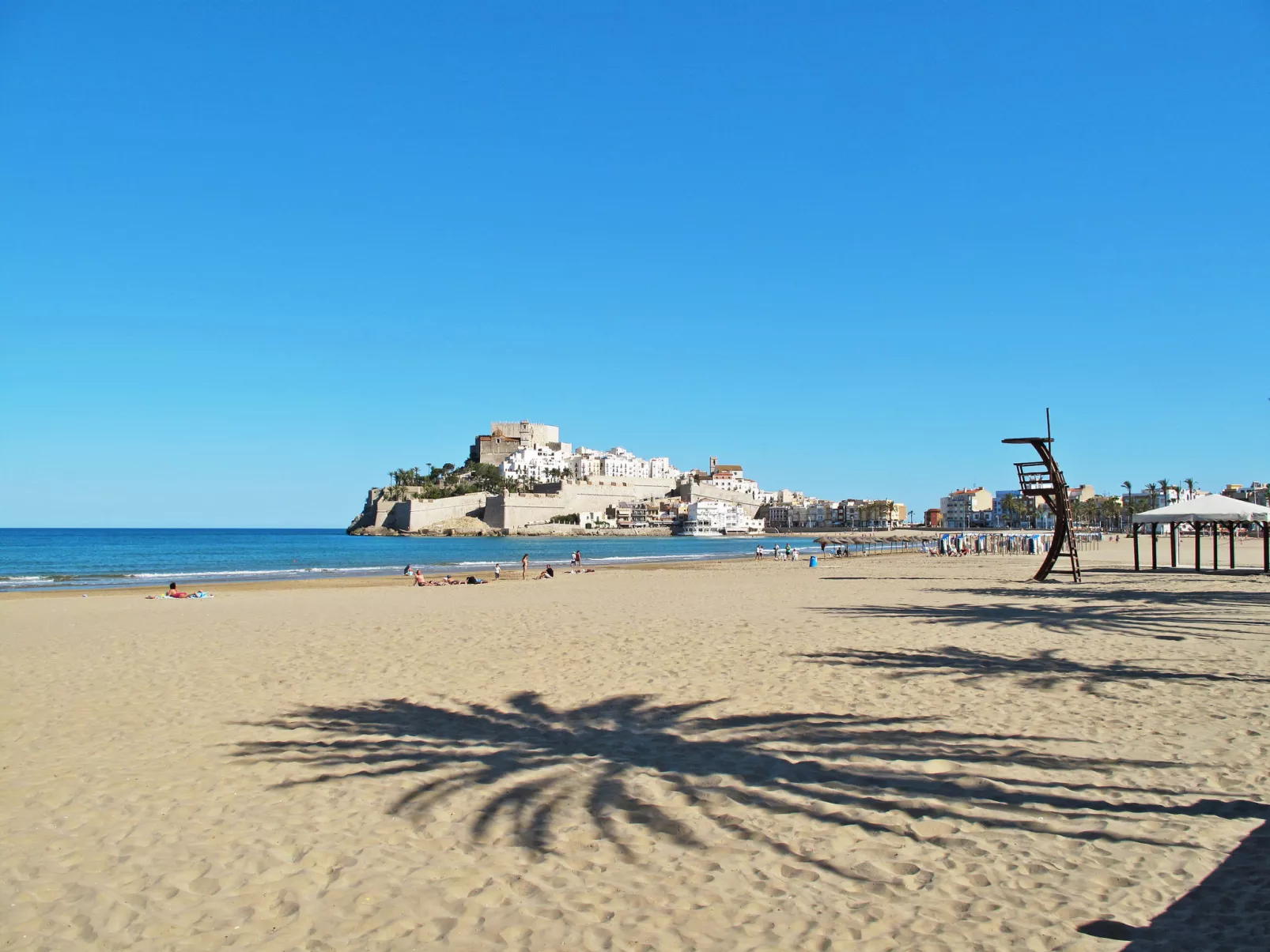 Calypso Azahar-Area