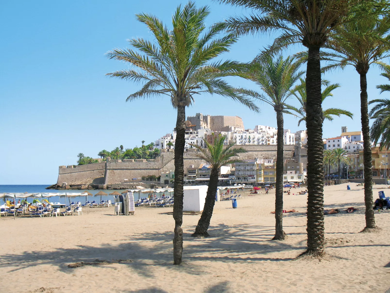 Calypso Azahar-Area