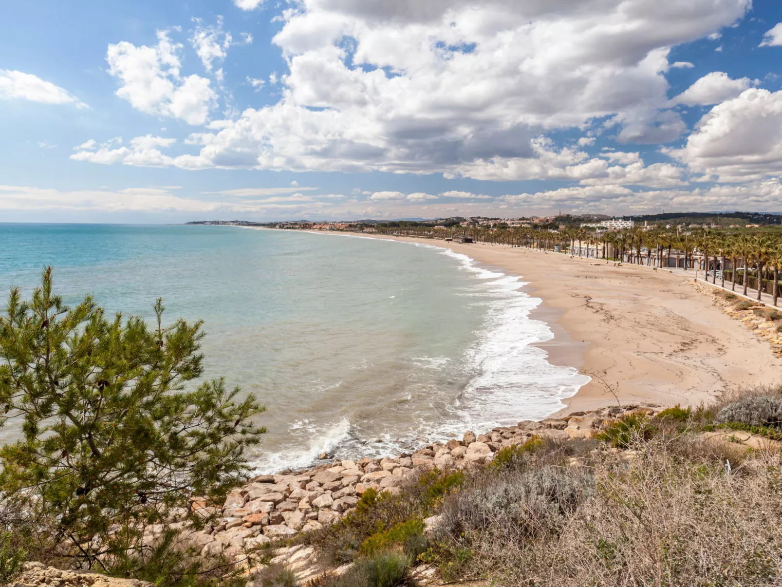 Llimona-Area