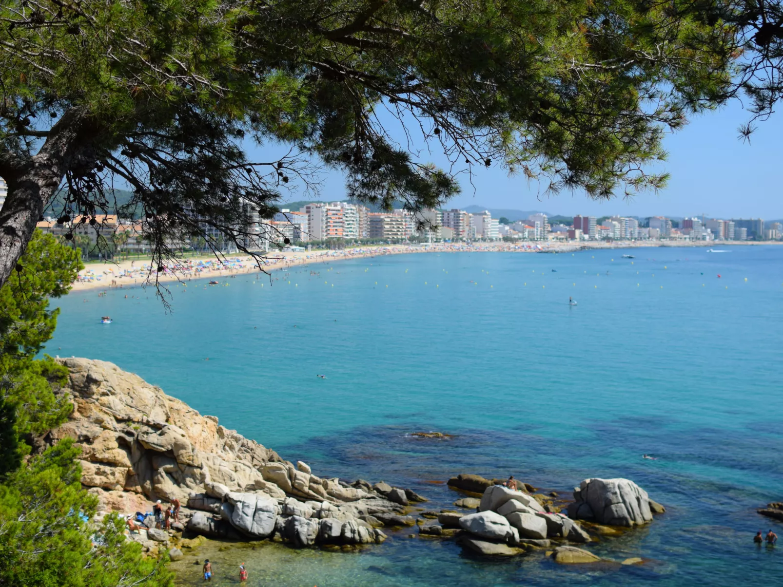 Puig Sapera-Area
