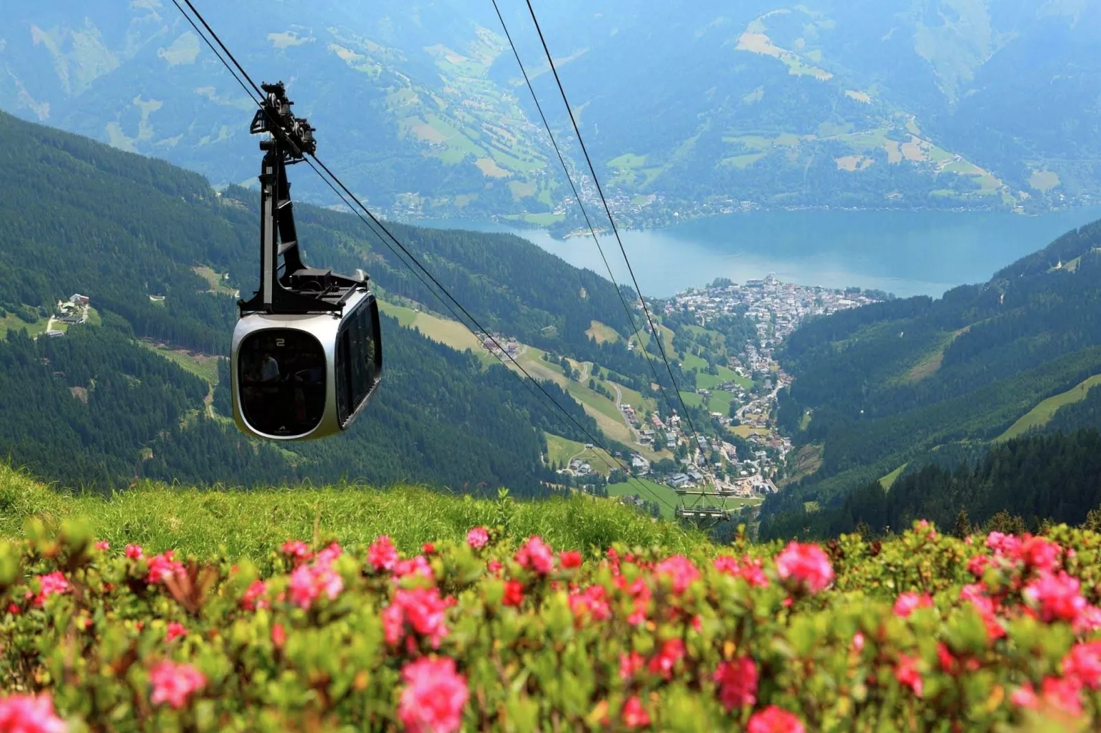 Chalet & Apartment AreitXpress Alpine Dreams-Areas summer 1km