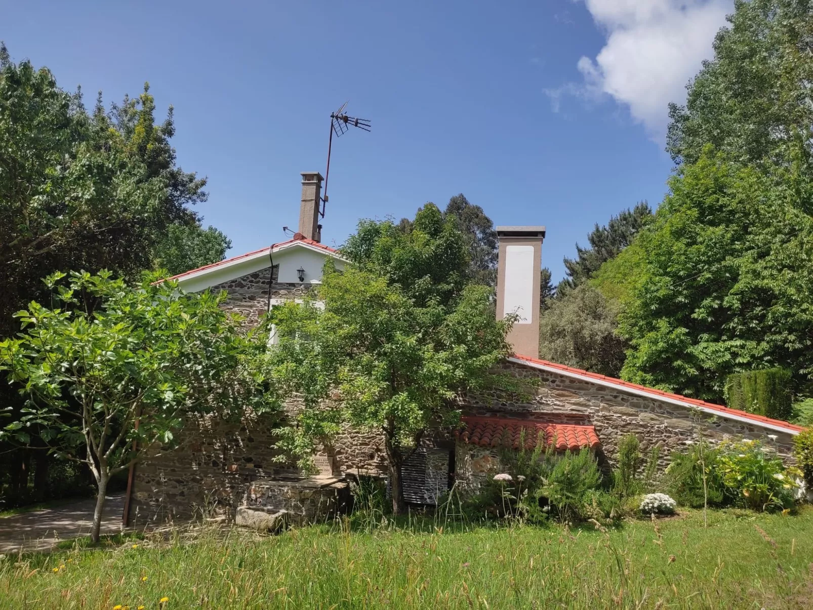 El Olivo-Dehors
