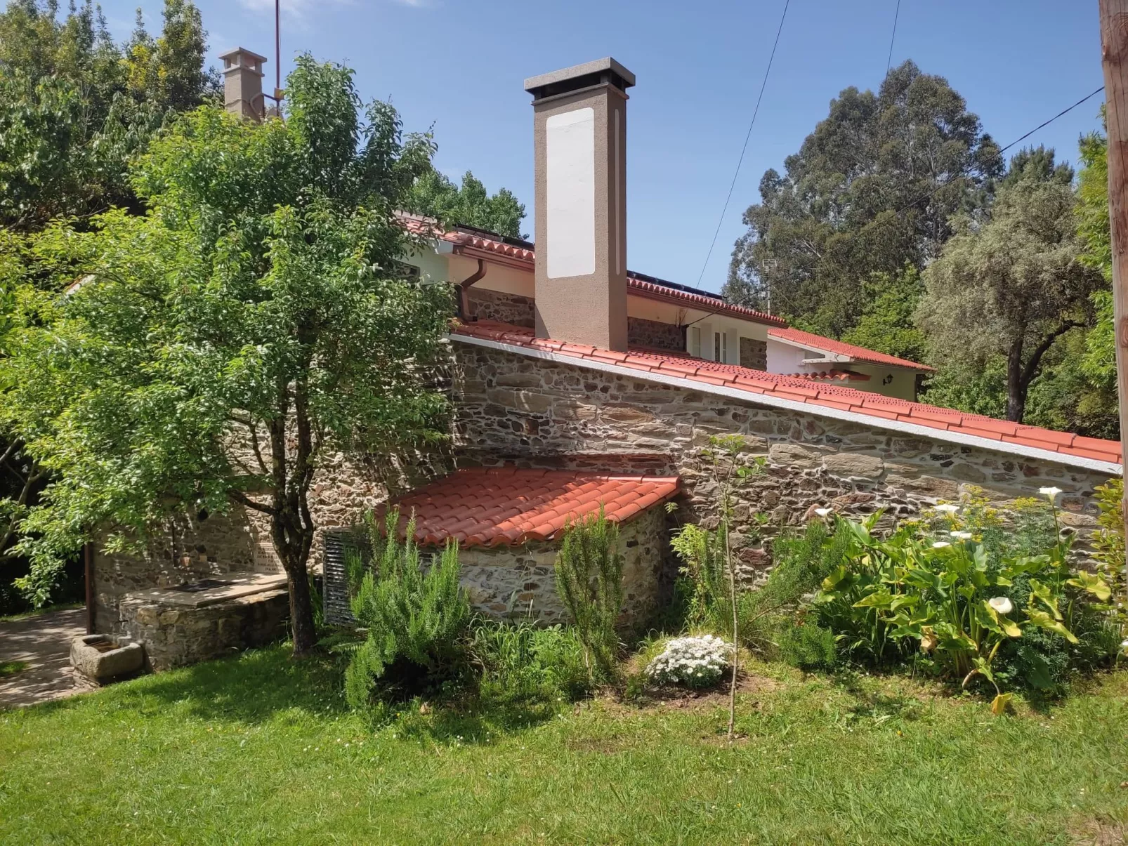 El Olivo-Dehors