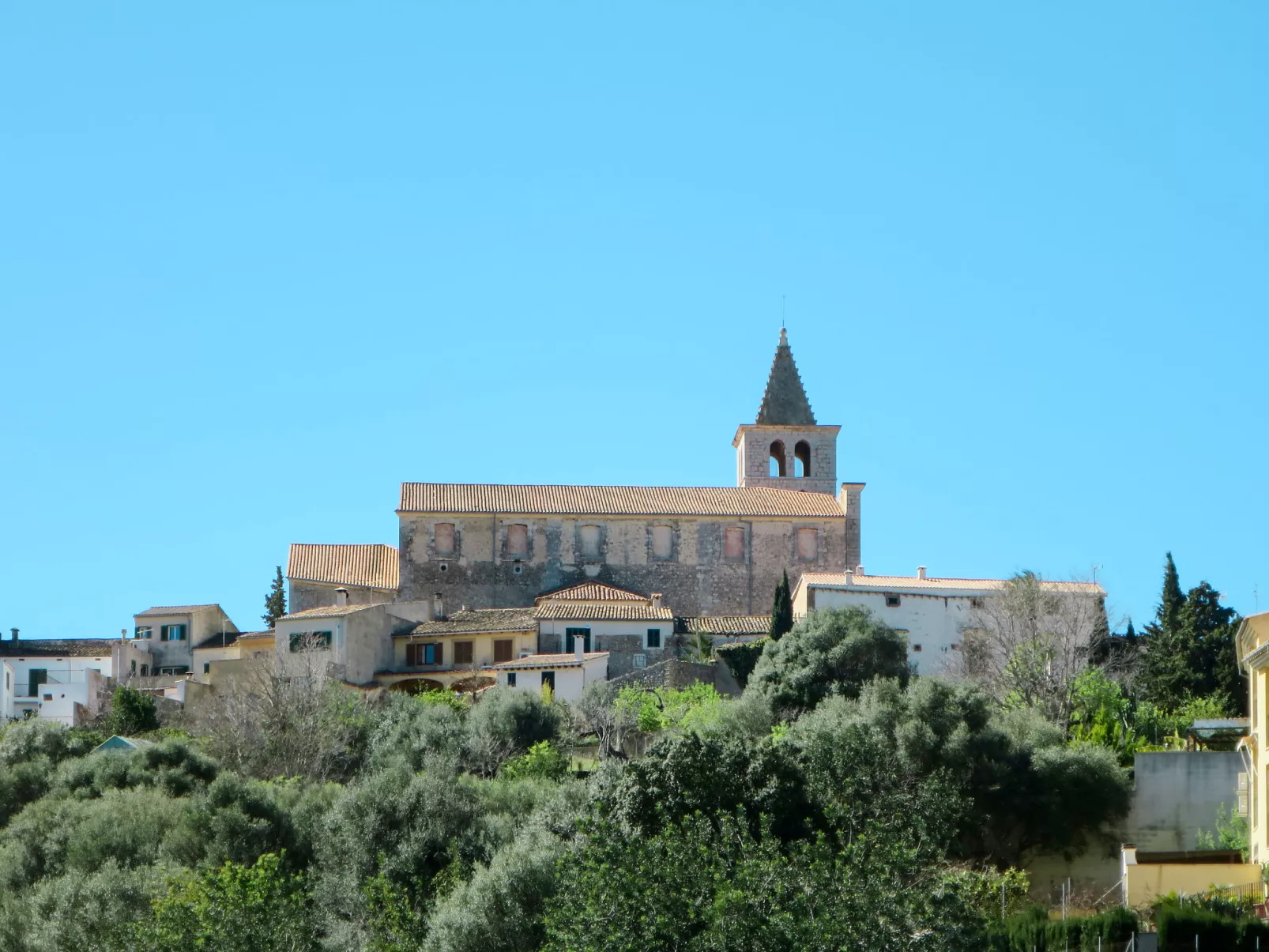 Can Melis-Area