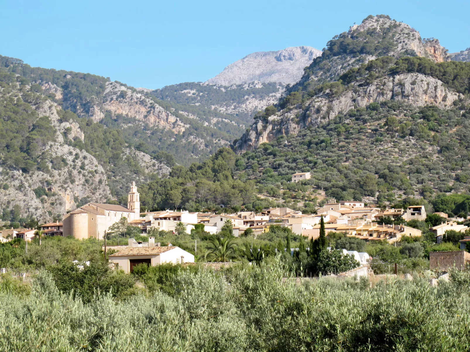 Sa Coma Caimari-Area