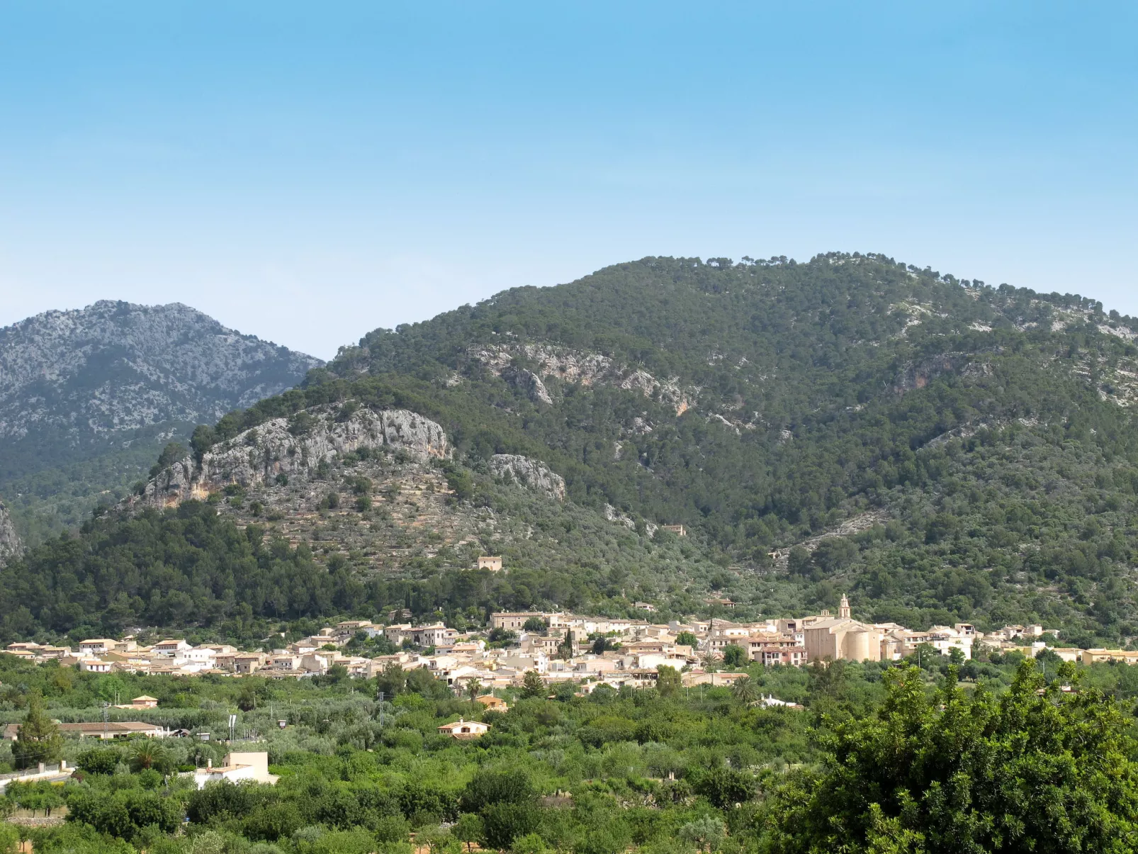 Sa Coma Caimari-Area