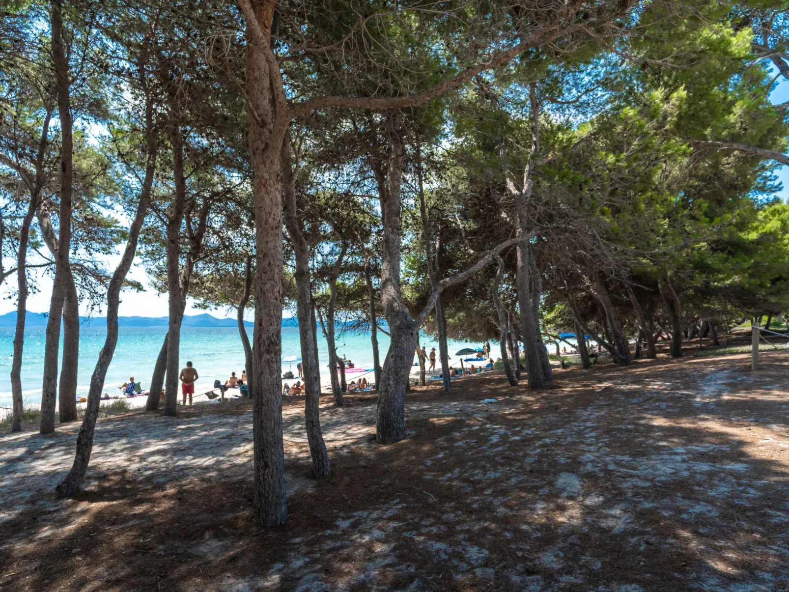Lago y Mar-Outside
