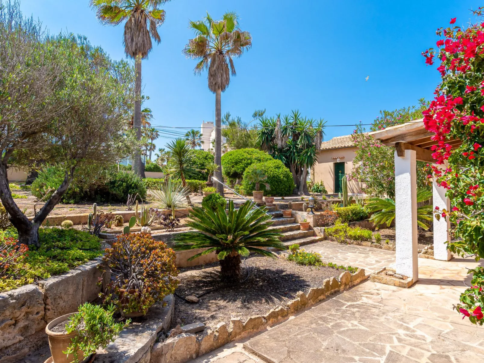 Las Gaviotas Style & Charm-Outside