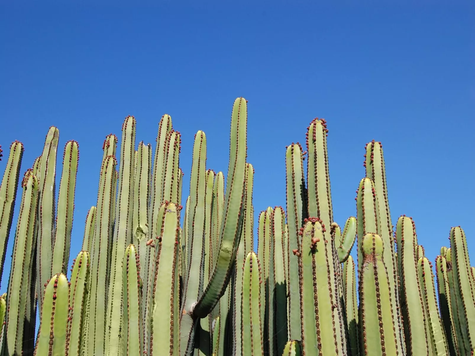 Salobre Golf Resort-Outside