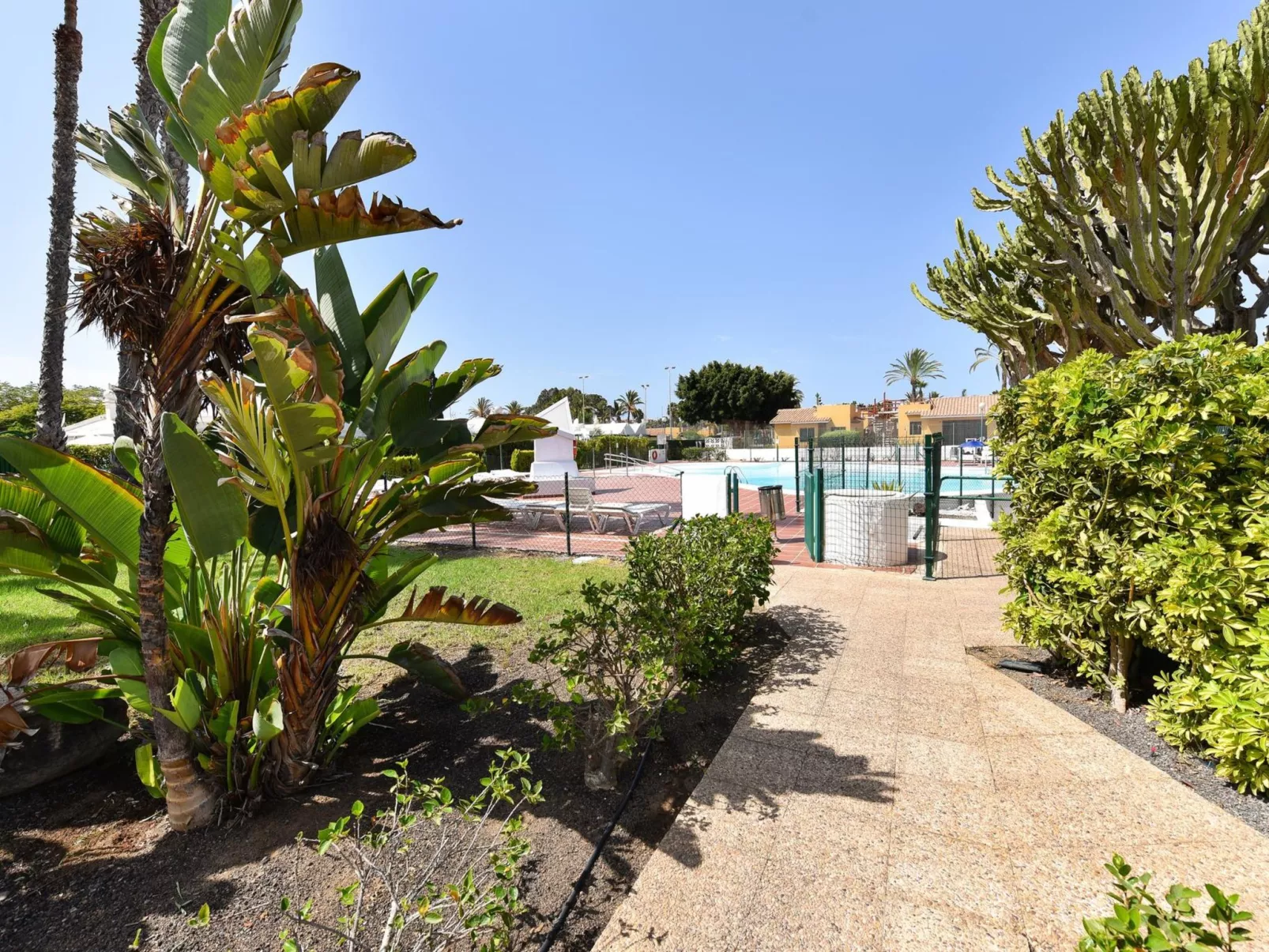 Playa Flor-Dehors