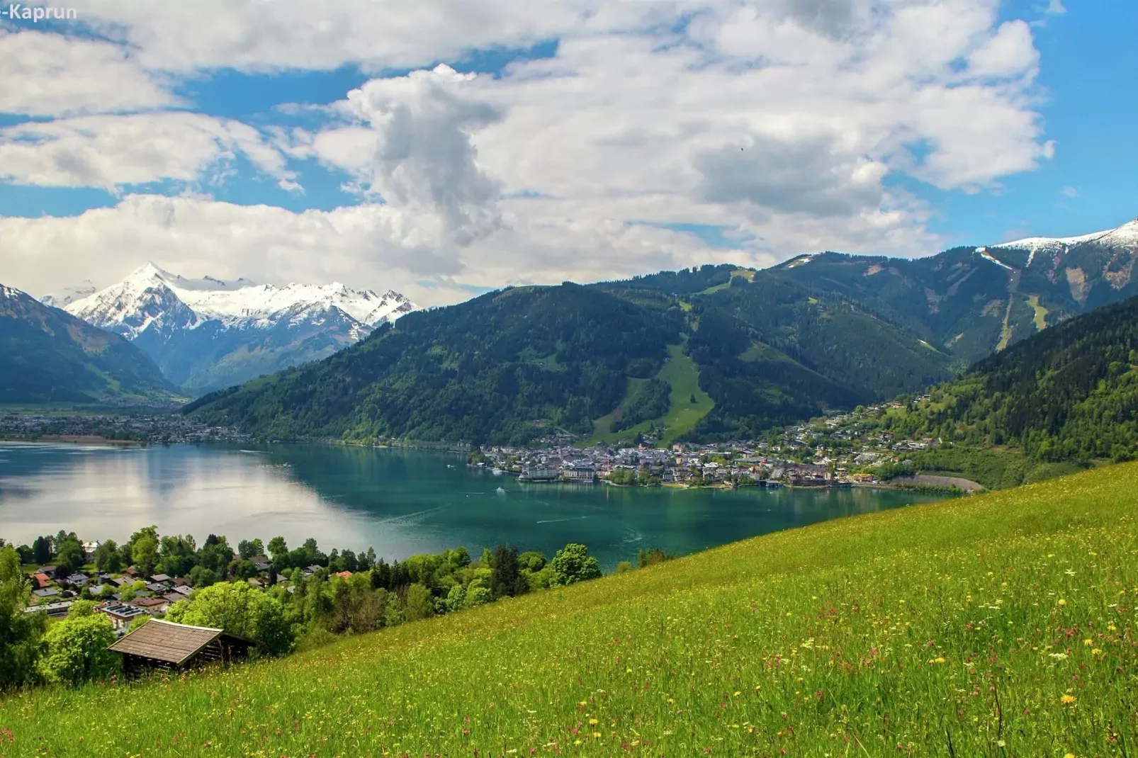 Steindorf 8-Areas summer 20km