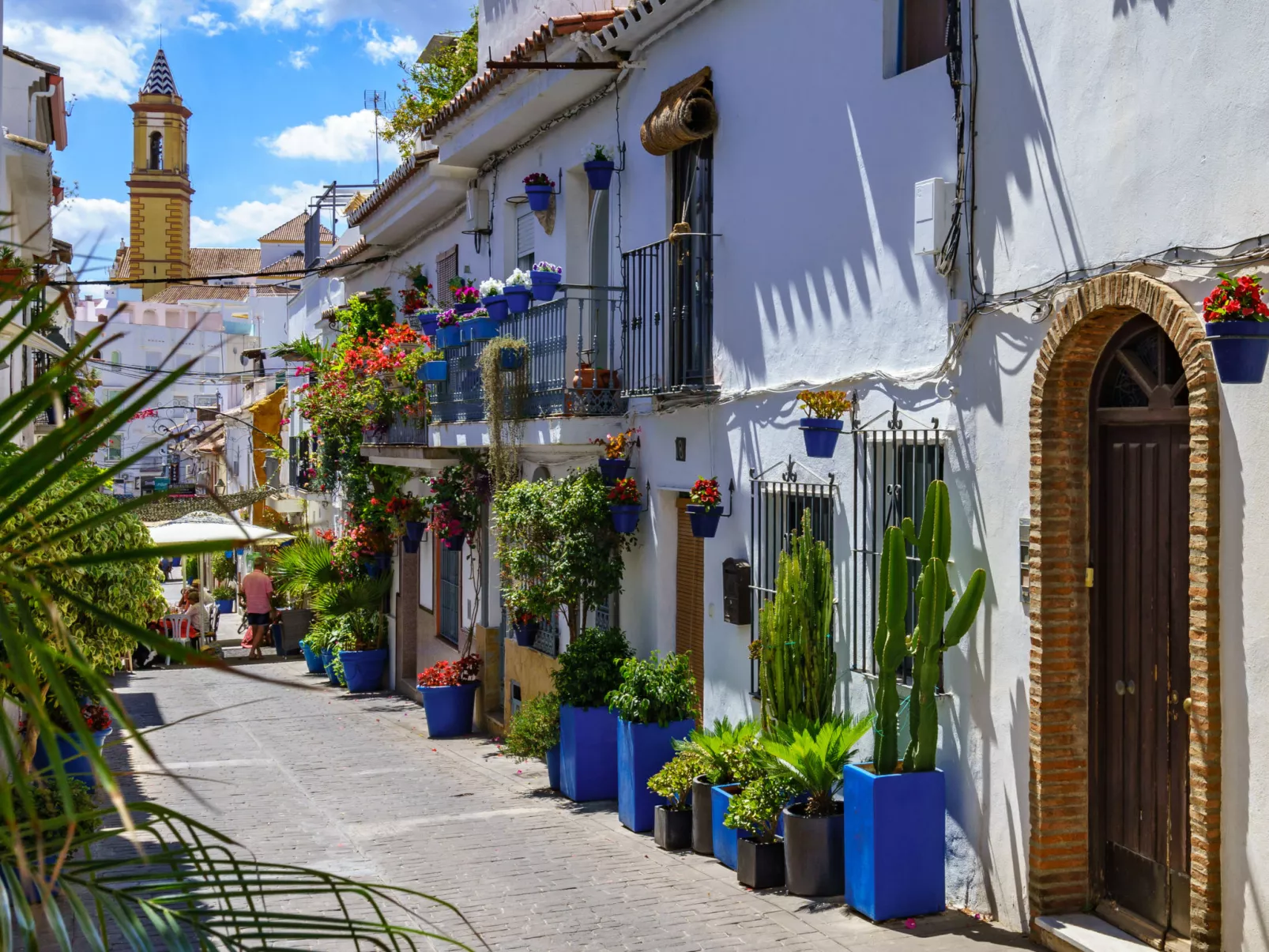 Plaza de las Flores-Area