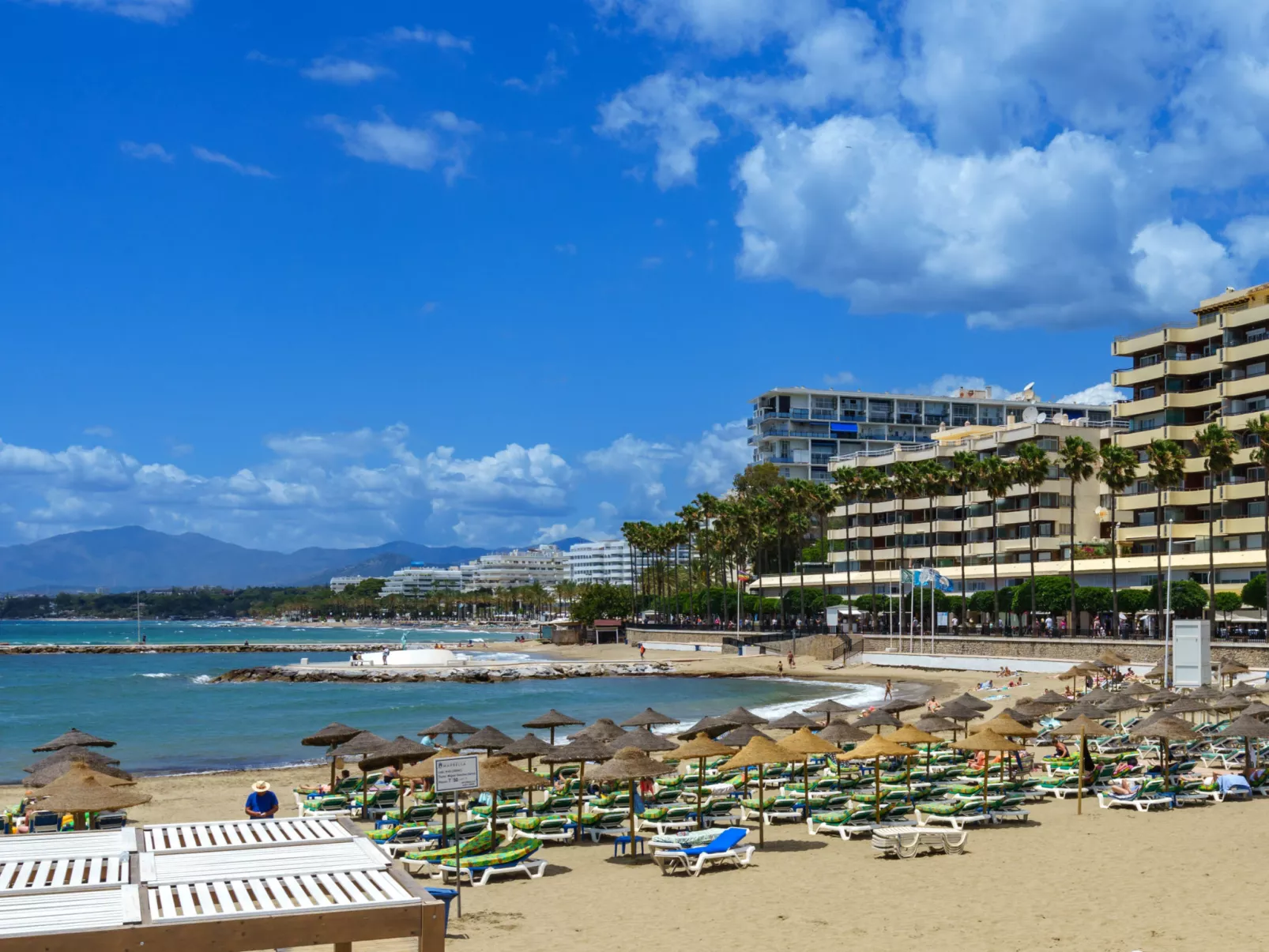 Playa Real-Area