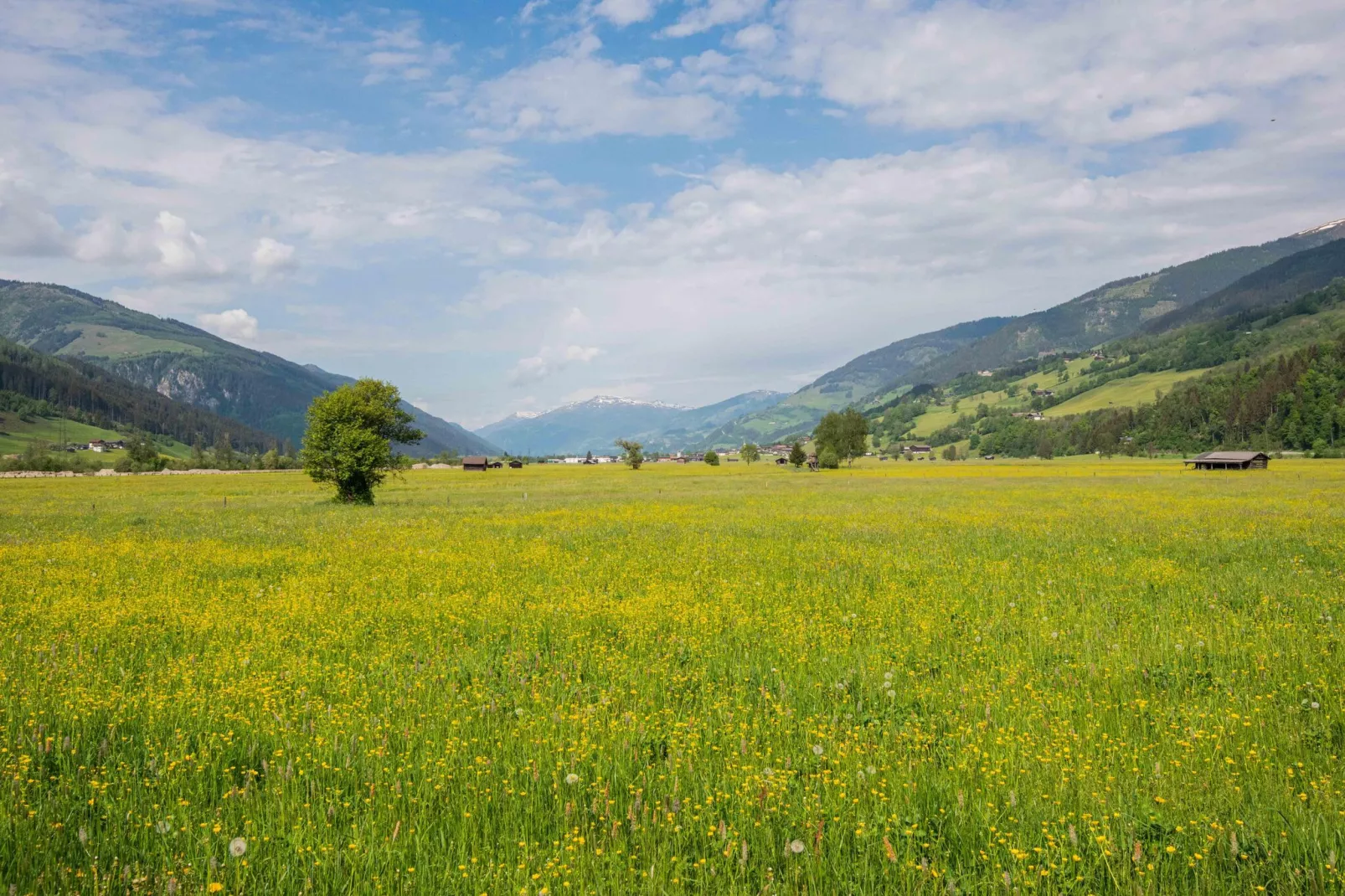 Chalet Lengberg B2-Areas summer 5km