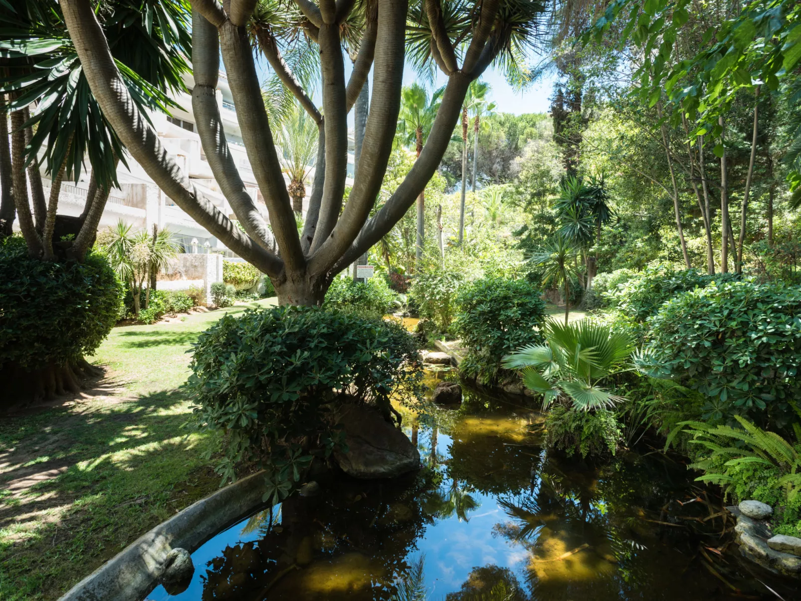 Jardines del Mar-Outside
