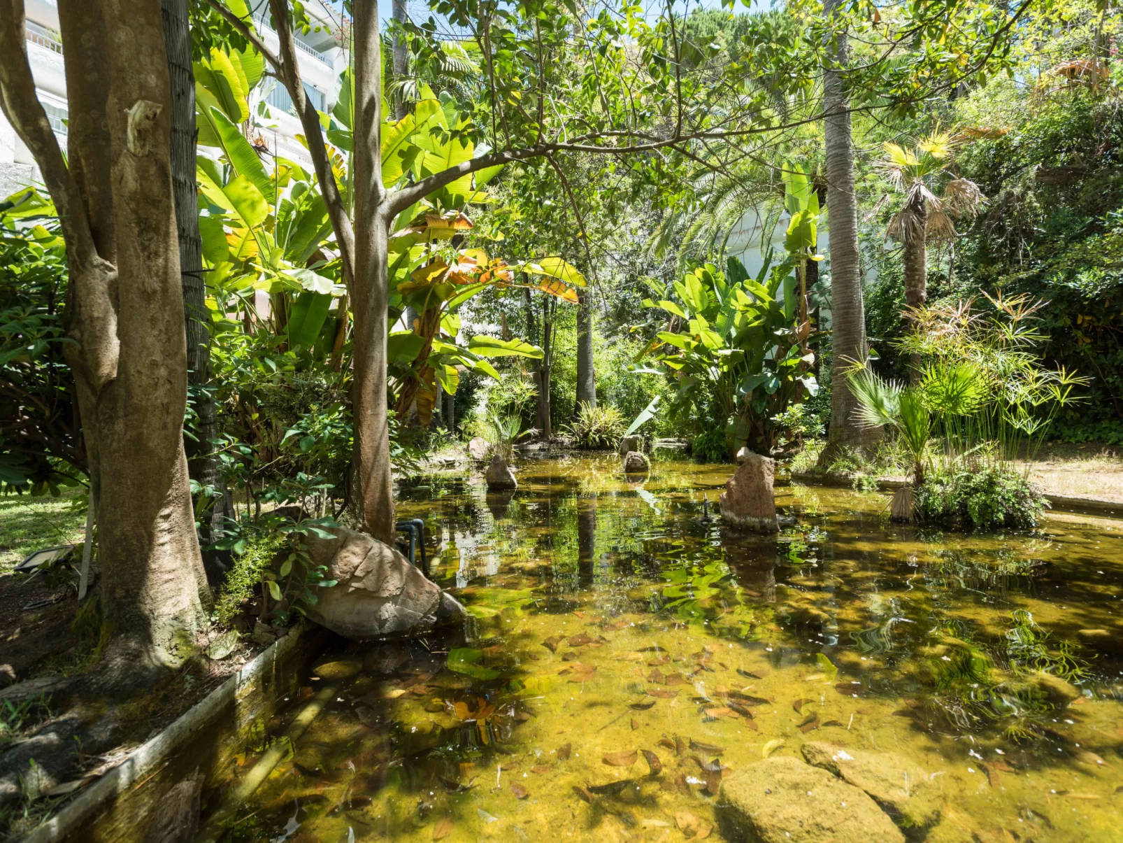 Jardines del Mar-Outside
