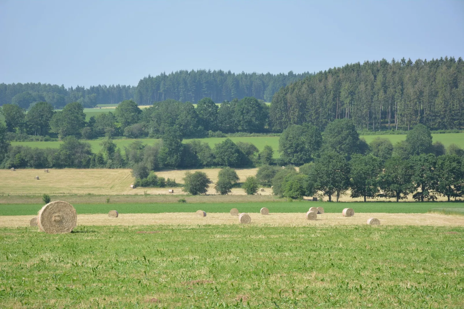 Les Boutons d'Or-Gebiete Sommer 5 km