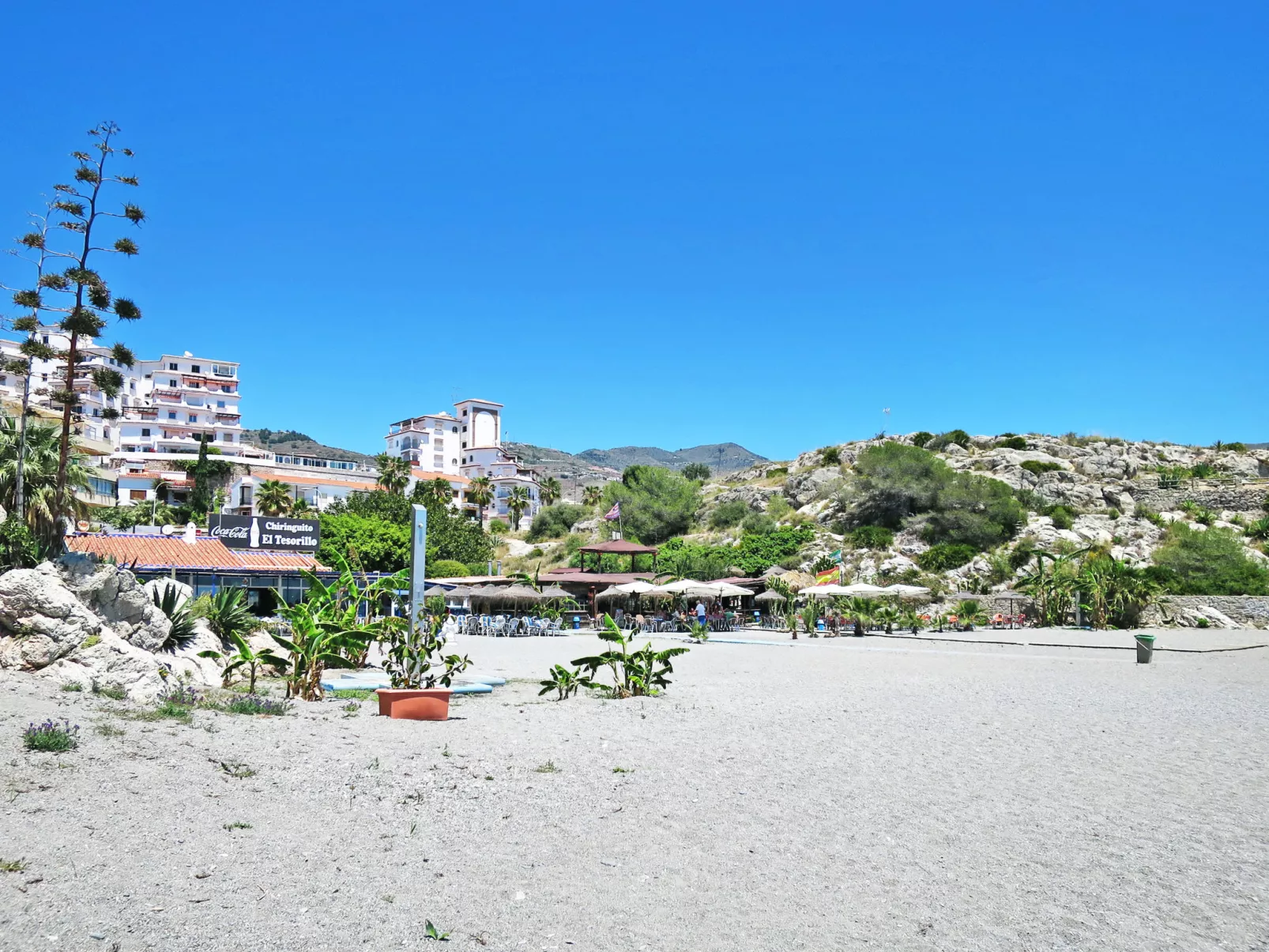 Elomar-Area