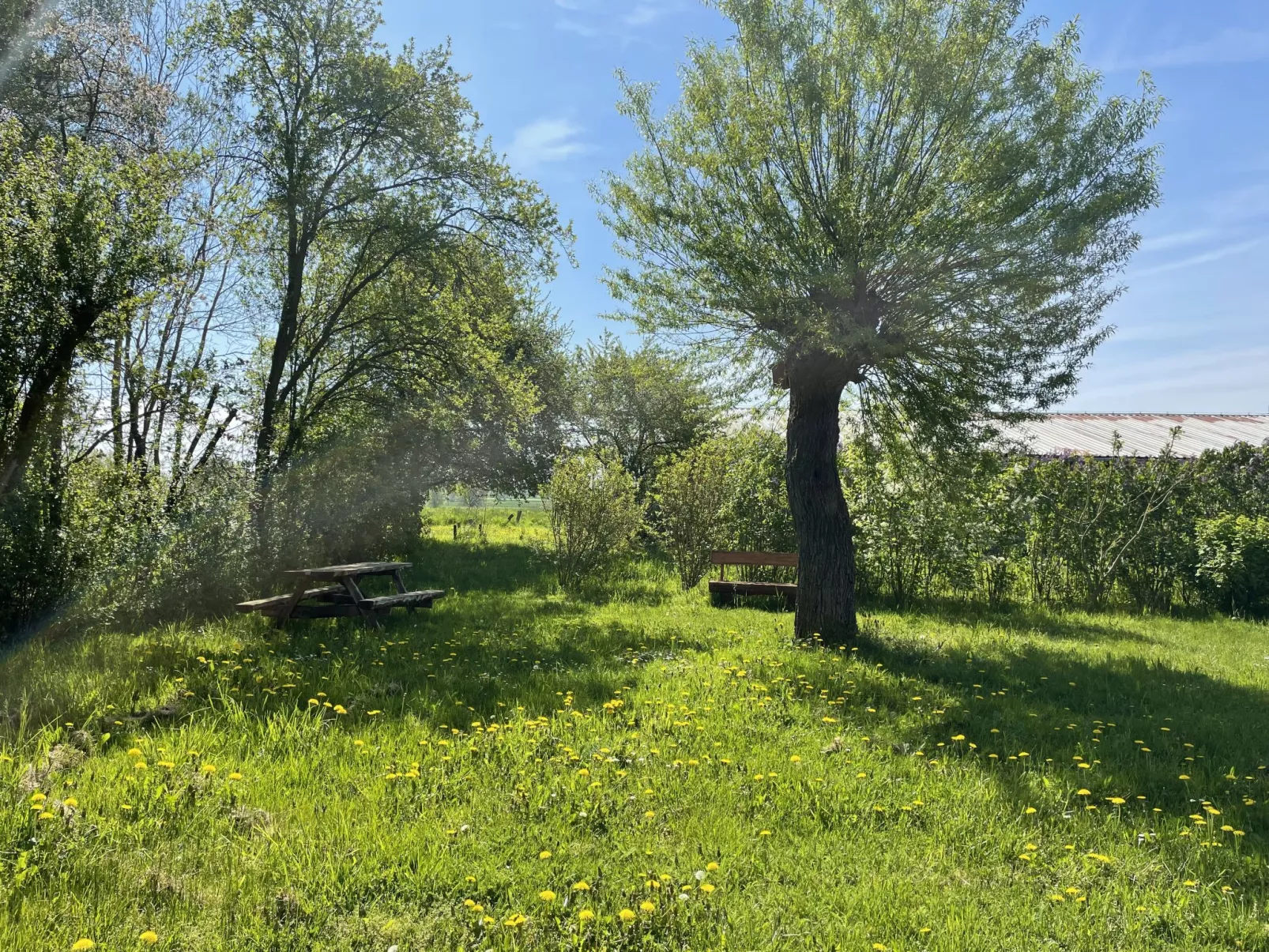 Alte Schmiede-Outside