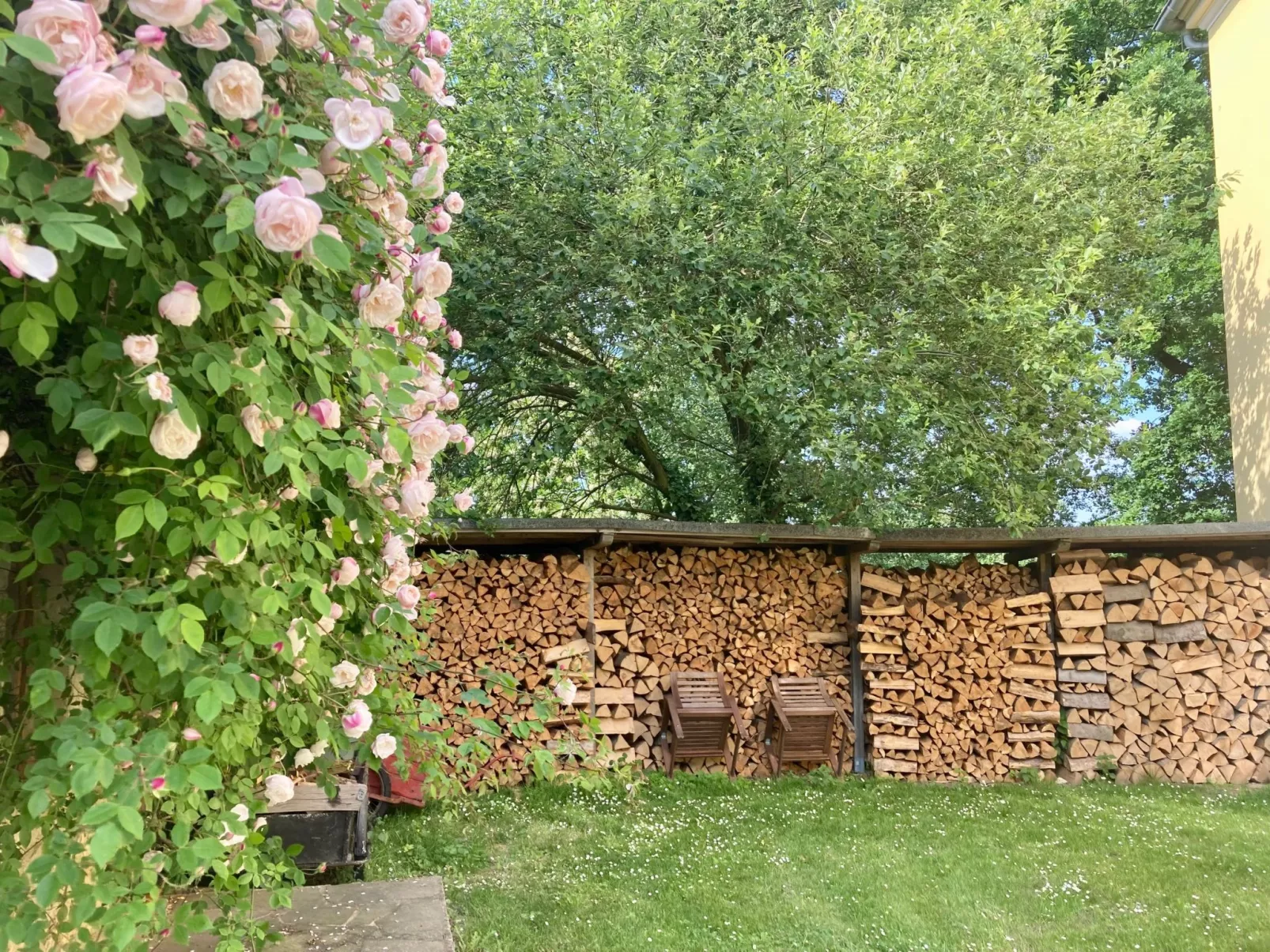Rosencottage-Outside
