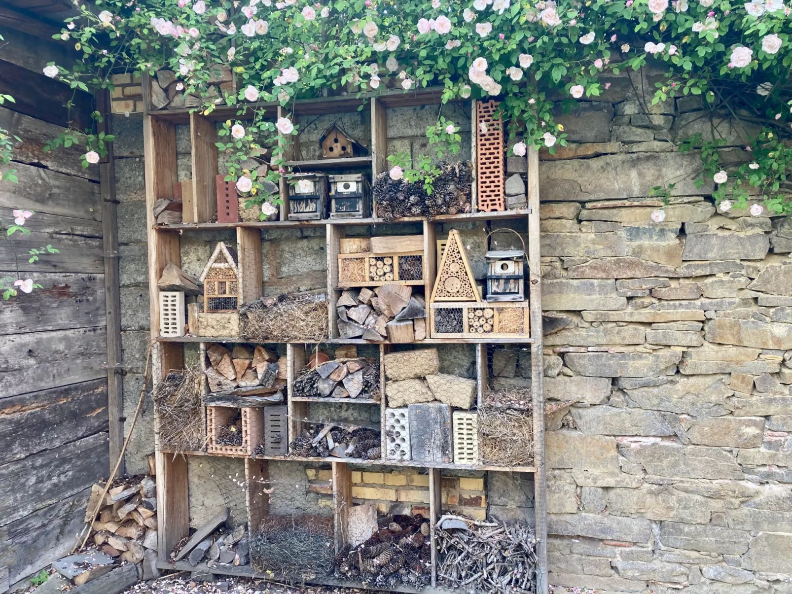 Rosencottage-Outside