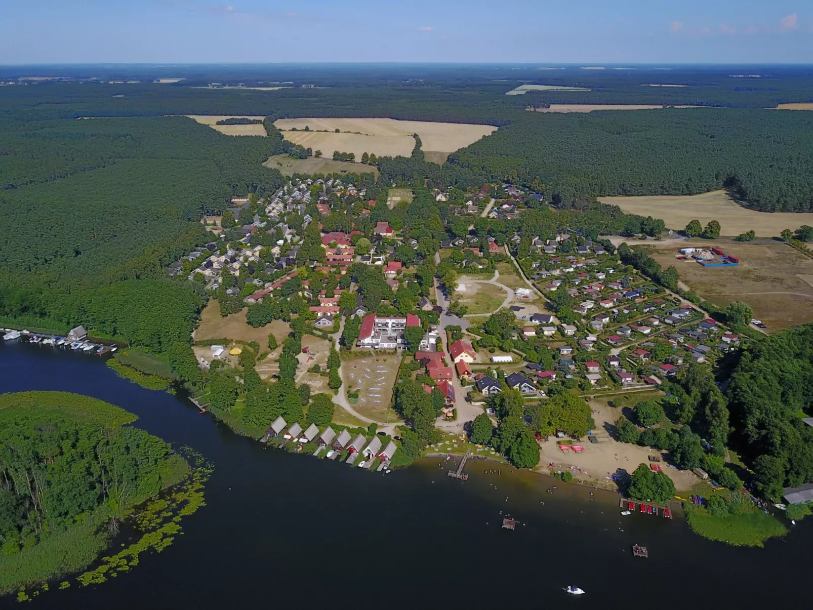 Seeschwalbe-Draußen