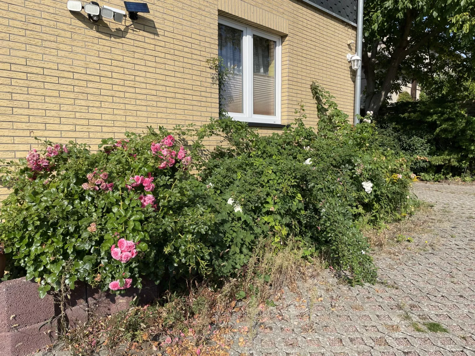 Old Hüsung (MUZ328)-Outside