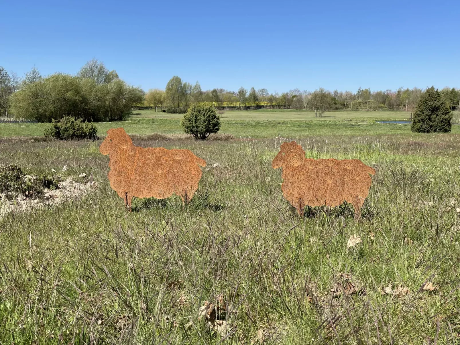 Heide-Dehors