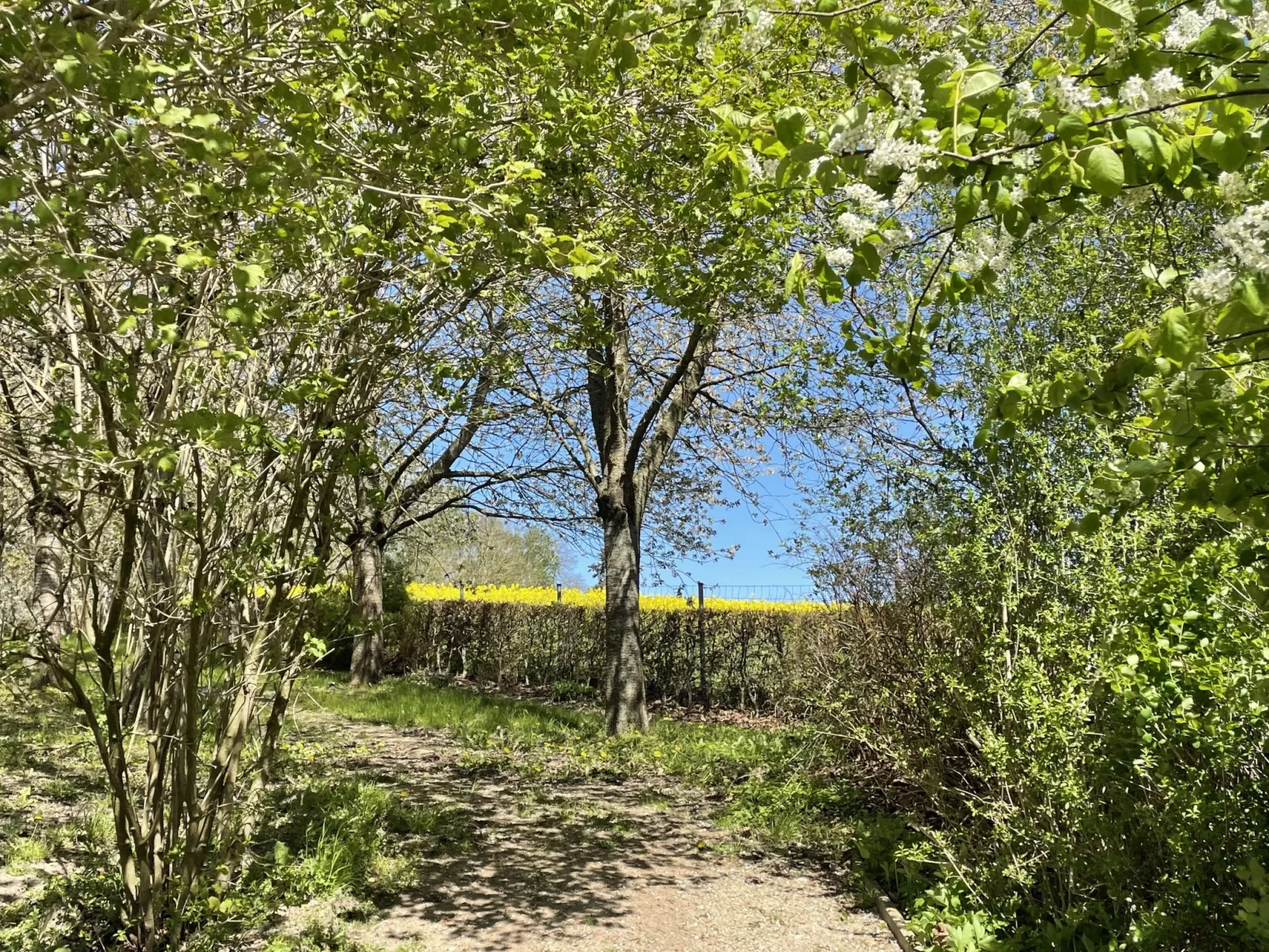 Heide-Dehors